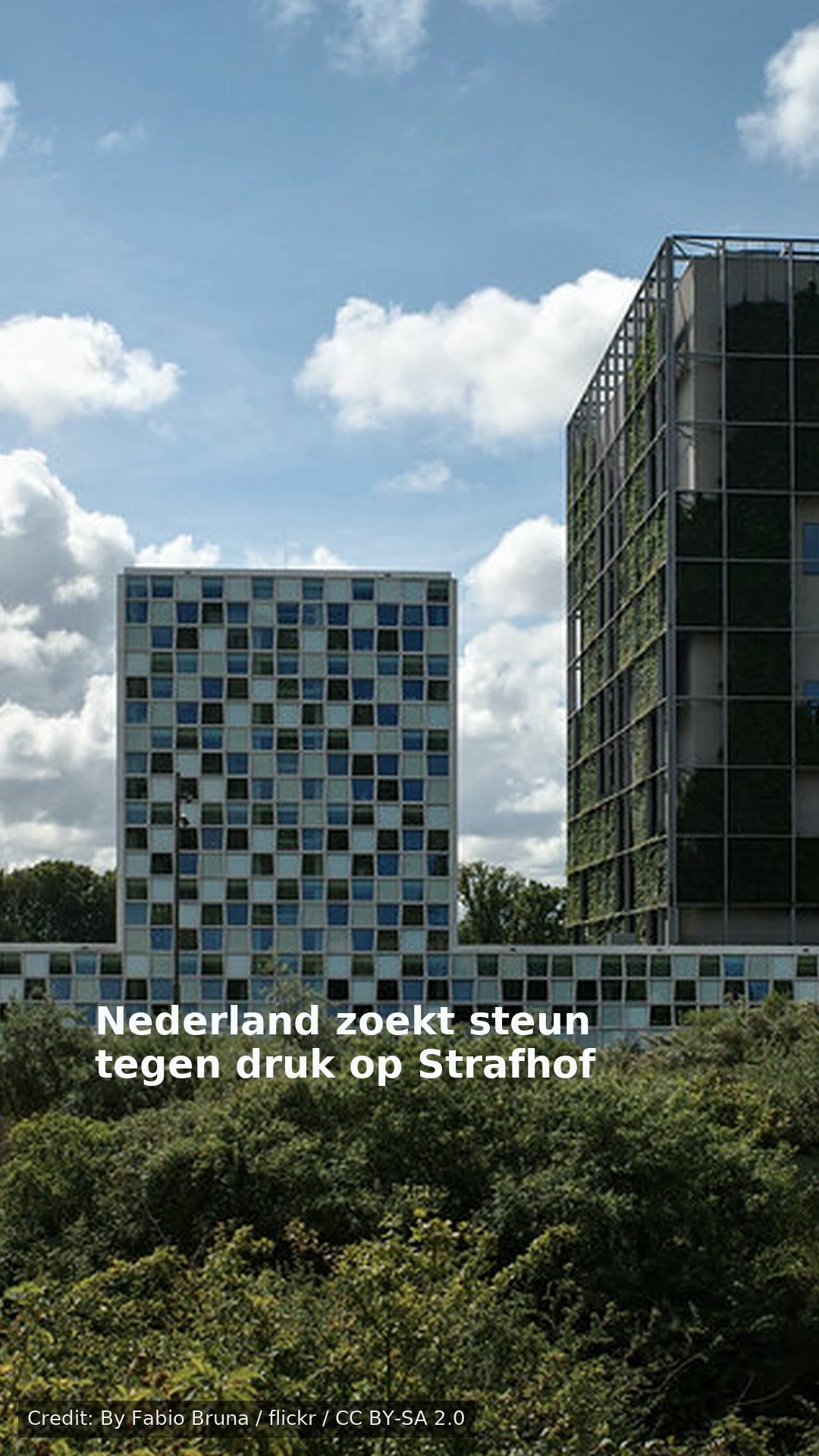 Nederland zoekt steun tegen druk op Strafhof