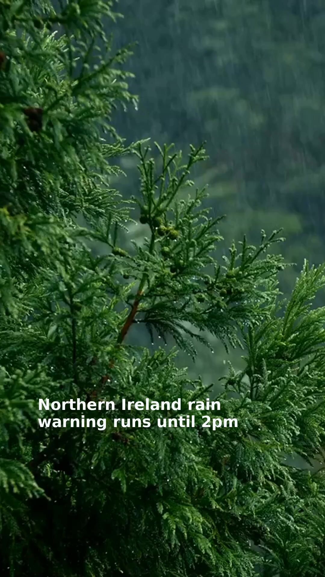 Northern Ireland rain warning runs until 2pm