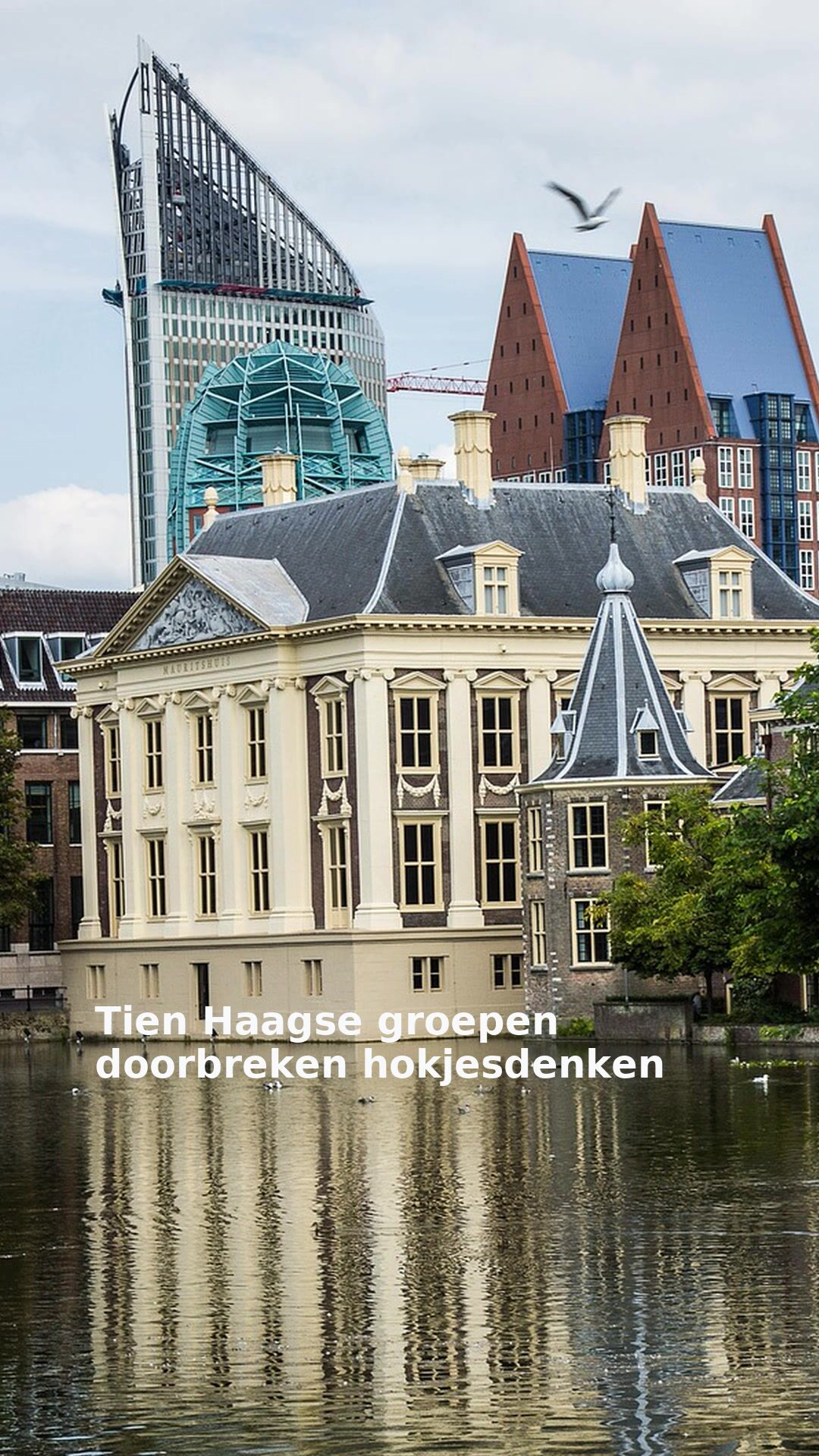 Tien Haagse groepen doorbreken hokjesdenken