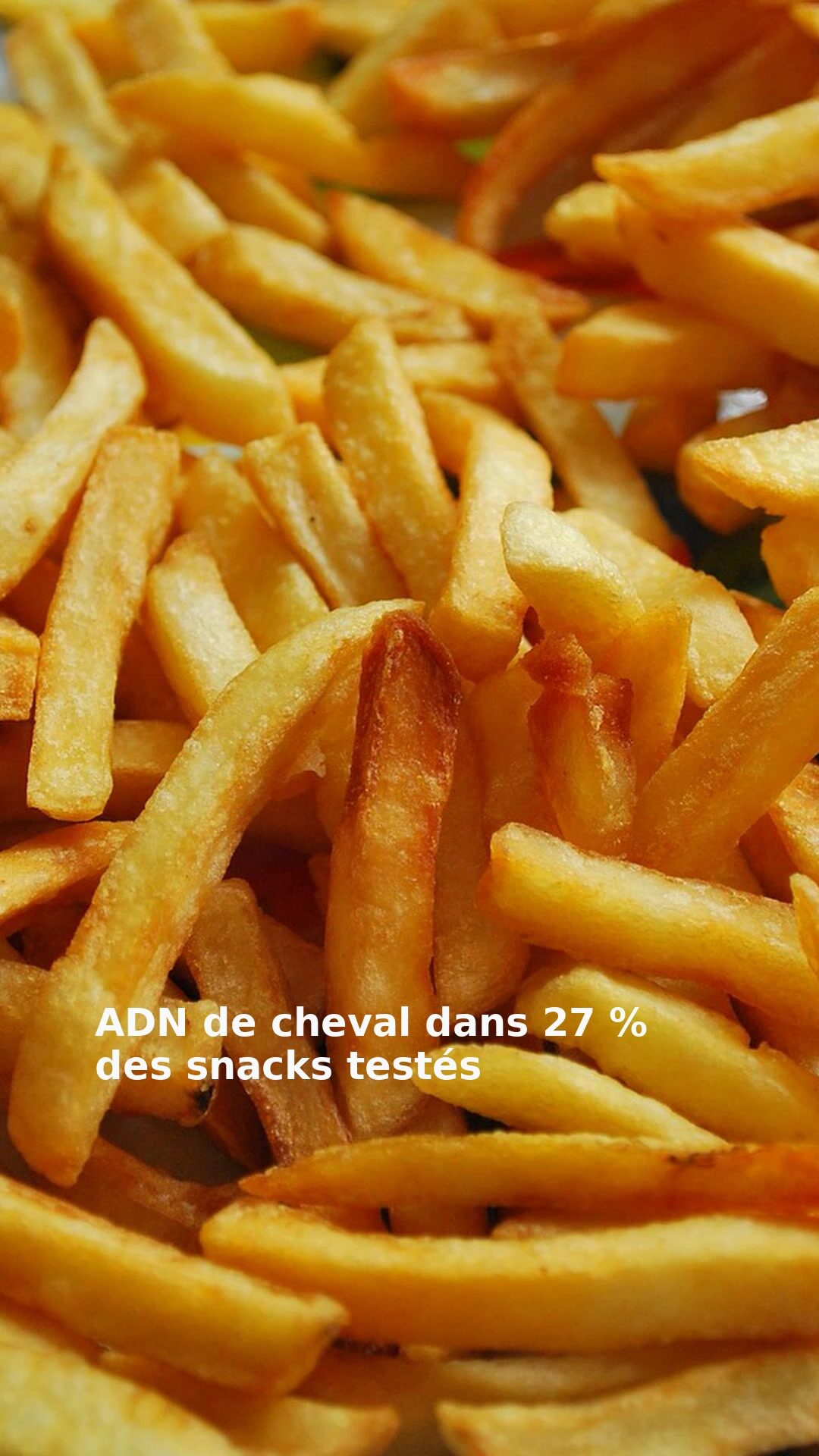 ADN de cheval dans 27 % des snacks testés