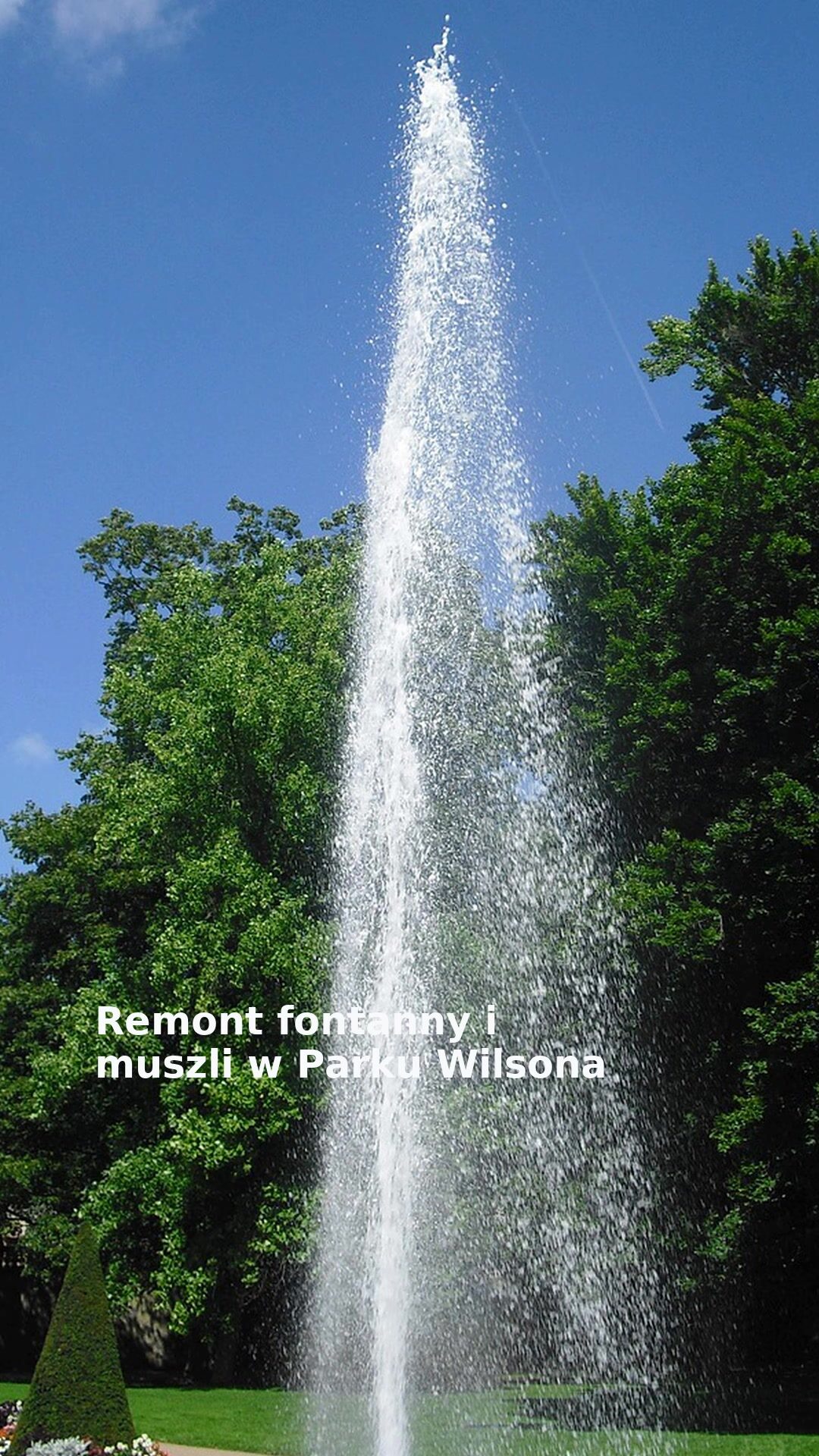 Remont fontanny i muszli w Parku Wilsona