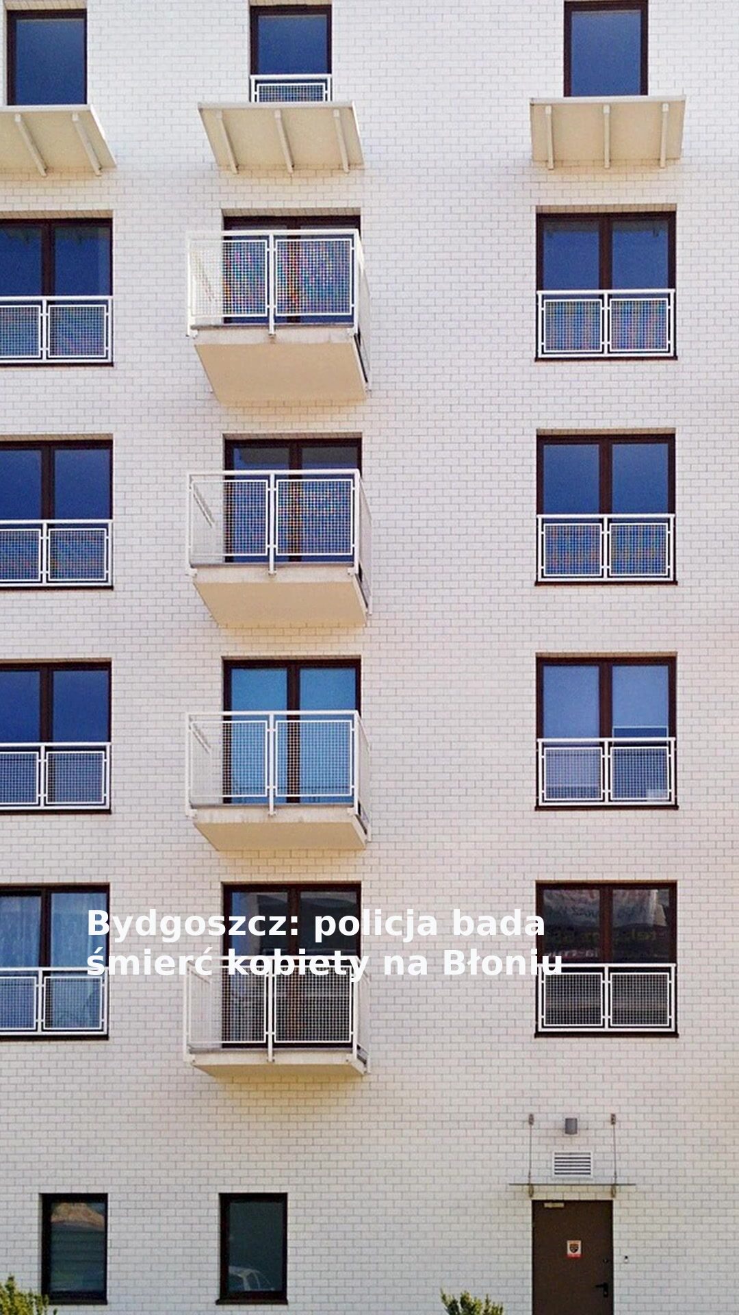 Bydgoszcz: policja bada śmierć kobiety na Błoniu