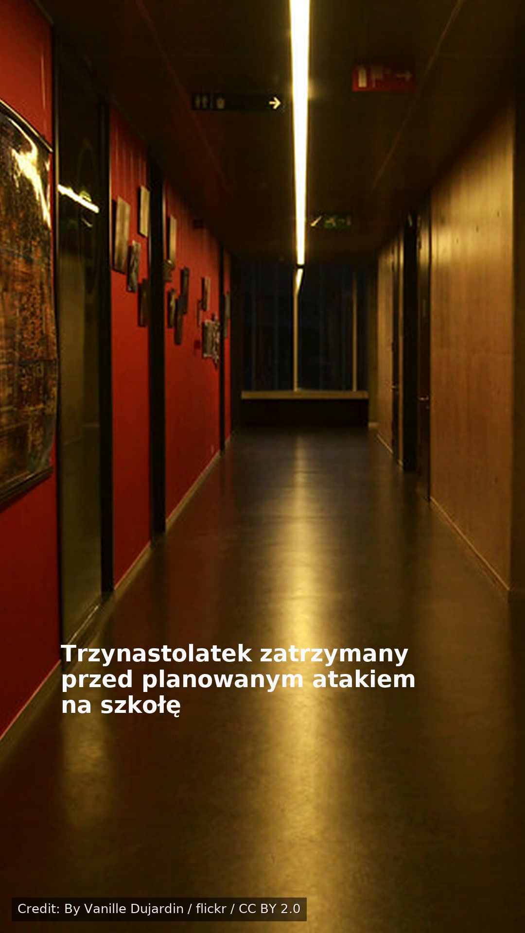 Trzynastolatek zatrzymany przed planowanym atakiem na szkołę