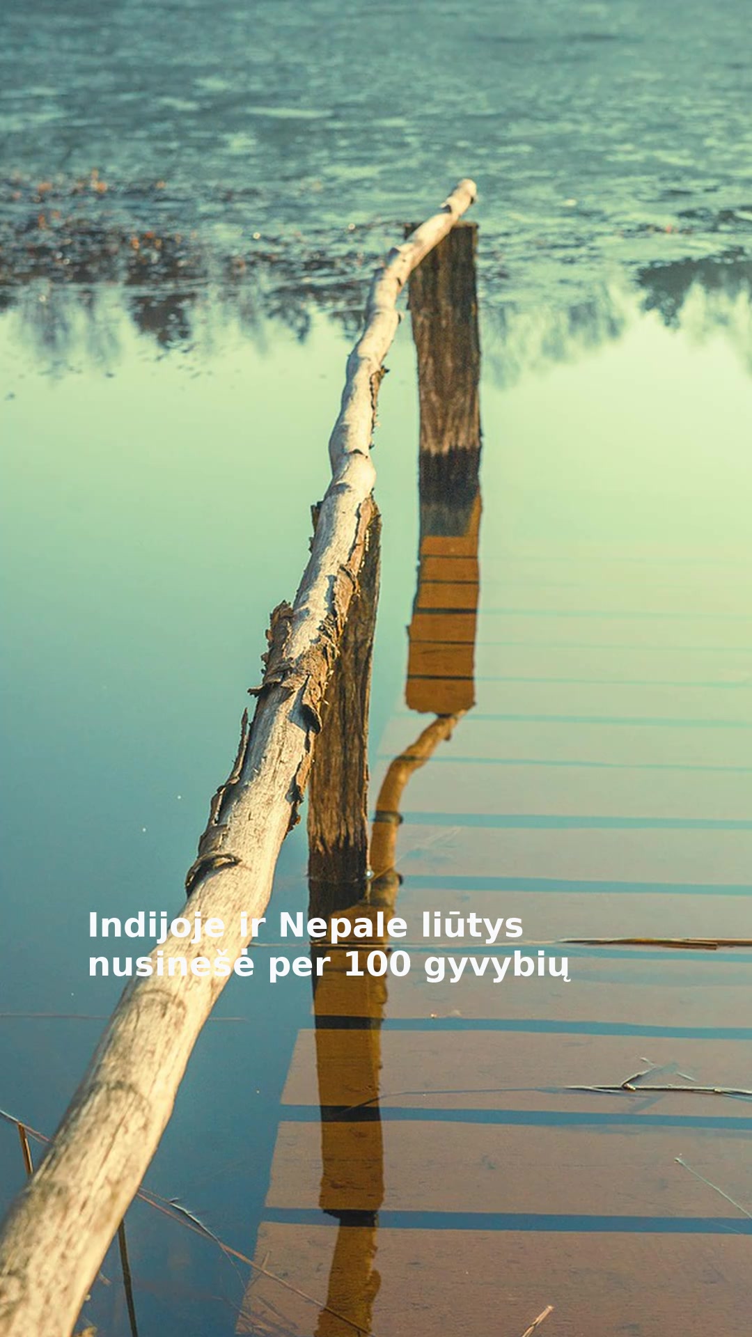 Indijoje ir Nepale liūtys nusinešė per 100 gyvybių