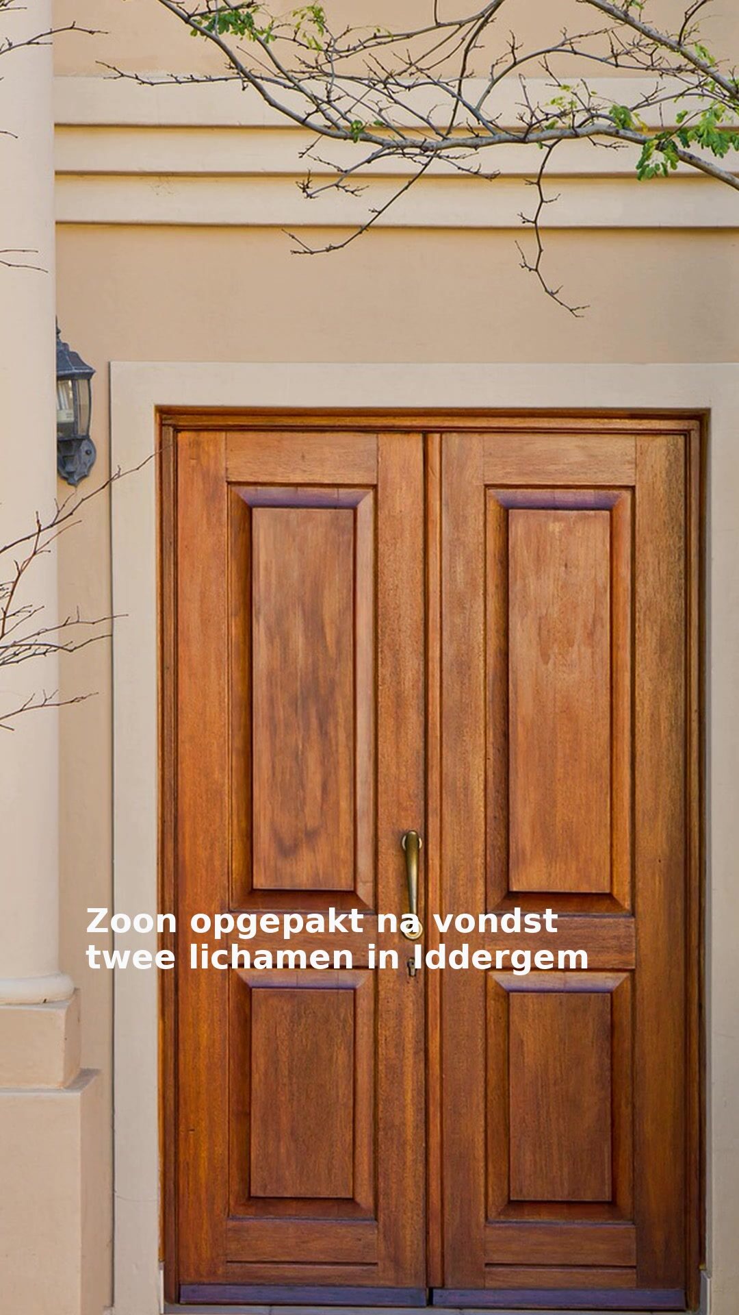 Zoon opgepakt na vondst twee lichamen in Iddergem