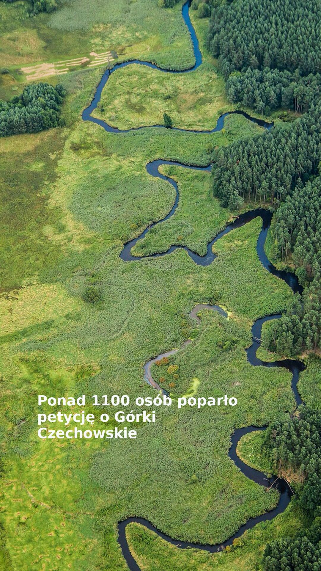Ponad 1100 osób poparło petycję o Górki Czechowskie