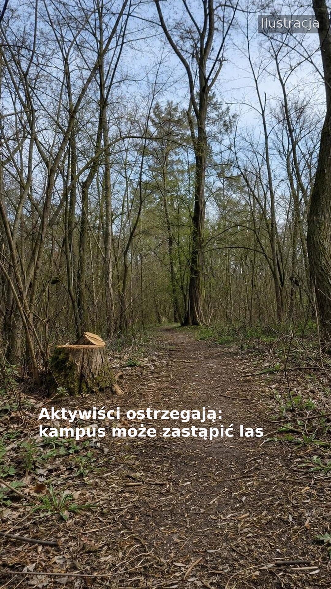 Aktywiści ostrzegają: kampus może zastąpić las