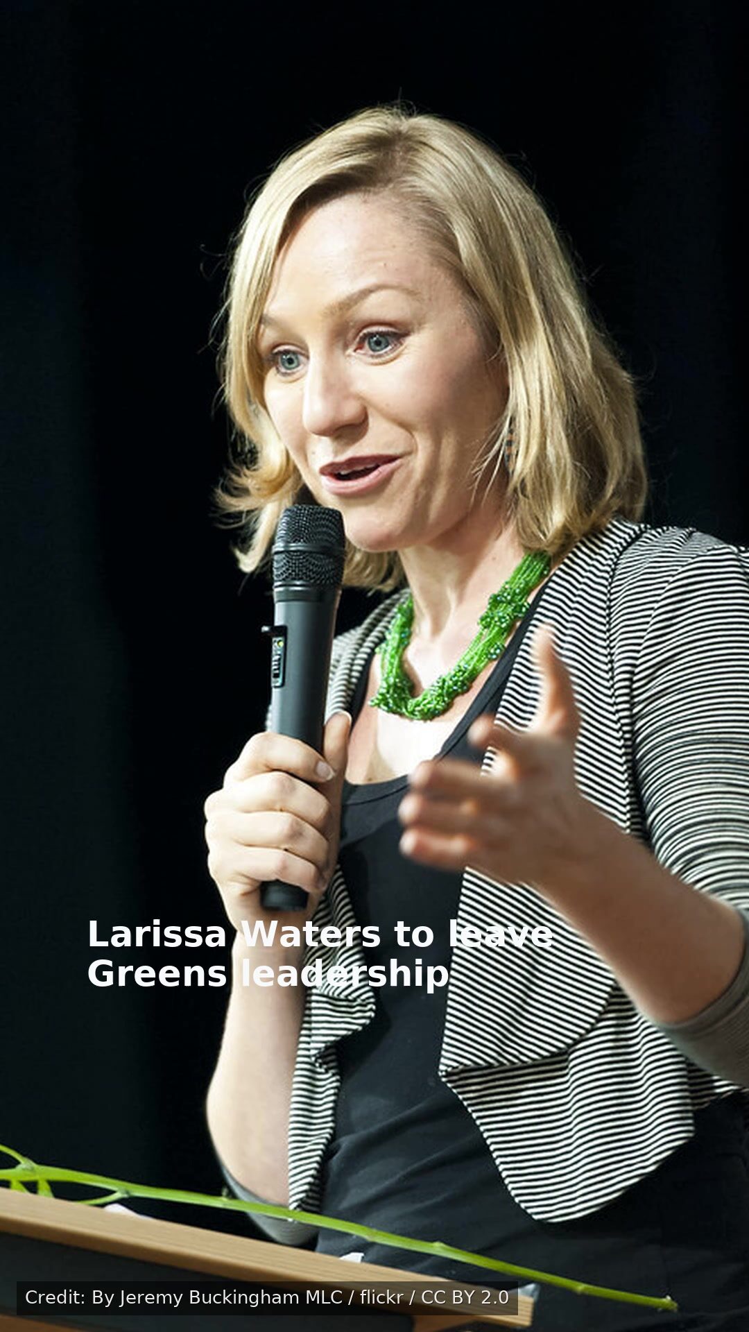 Larissa Waters to leave Greens leadership