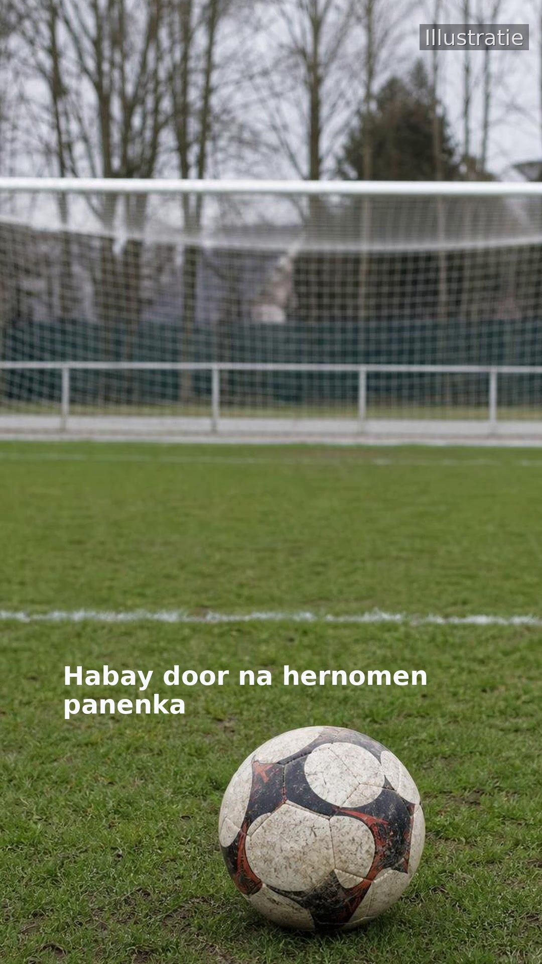 Habay door na hernomen panenka