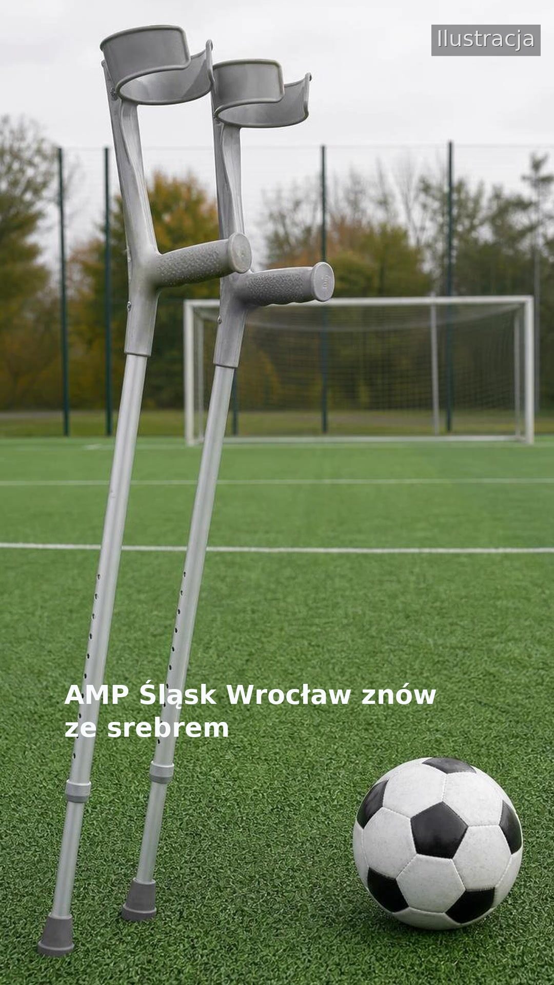 AMP Śląsk Wrocław znów ze srebrem