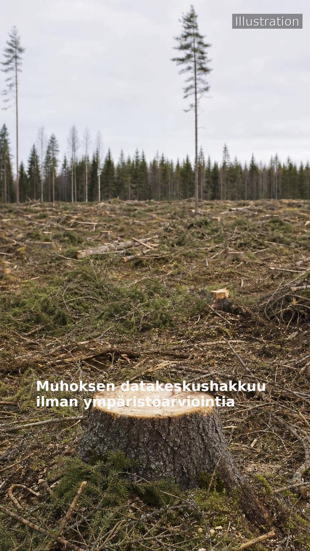 Muhoksen datakeskushakkuu ilman ympäristöarviointia