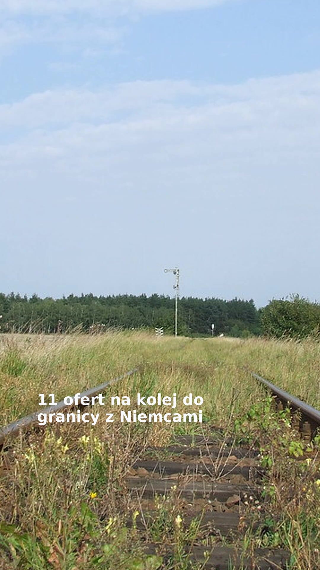11 ofert na kolej do granicy z Niemcami