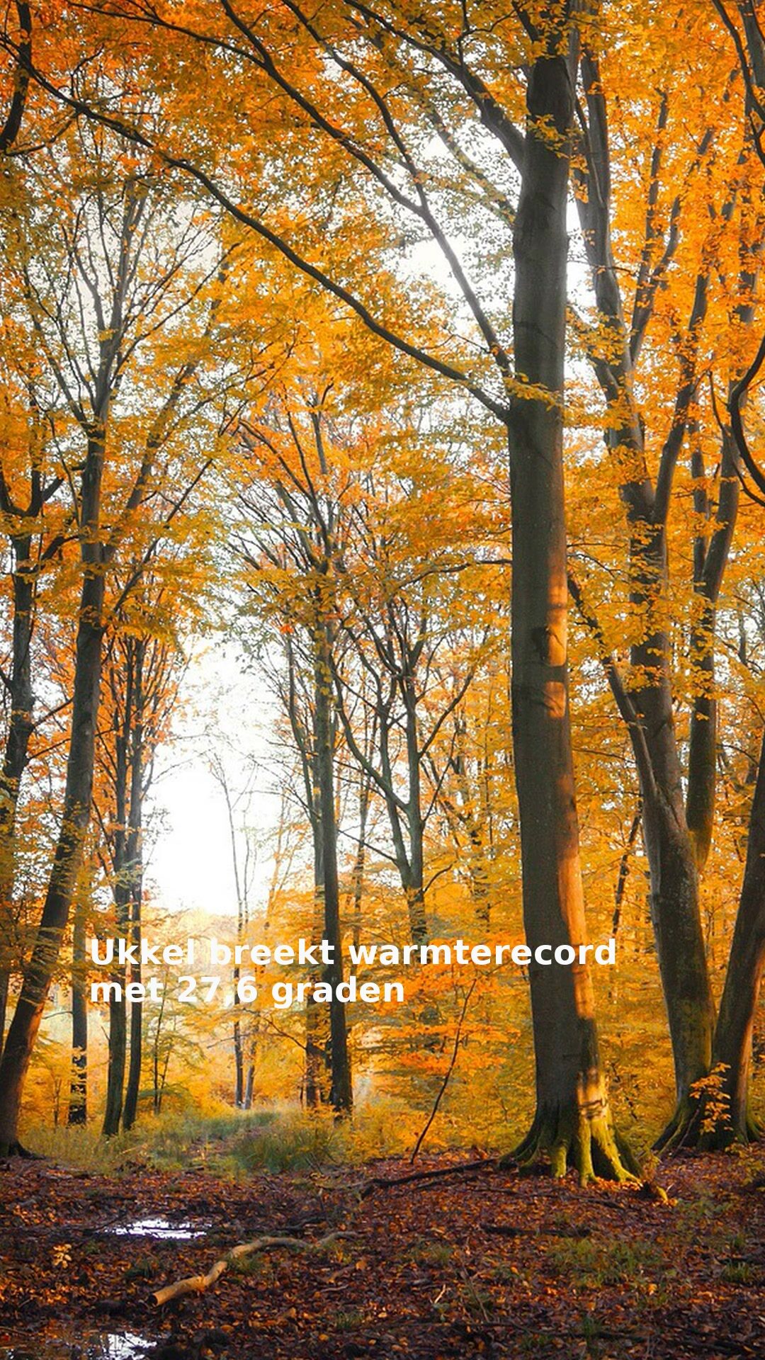 Ukkel breekt warmterecord met 27,6 graden
