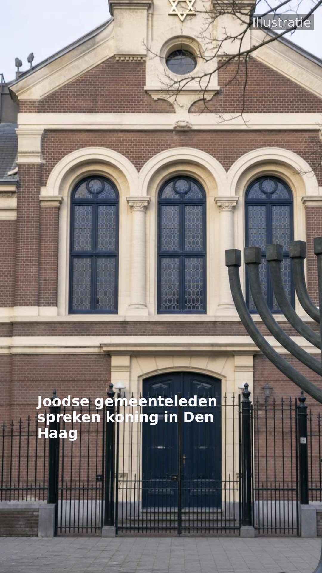 Joodse gemeenteleden spreken koning in Den Haag
