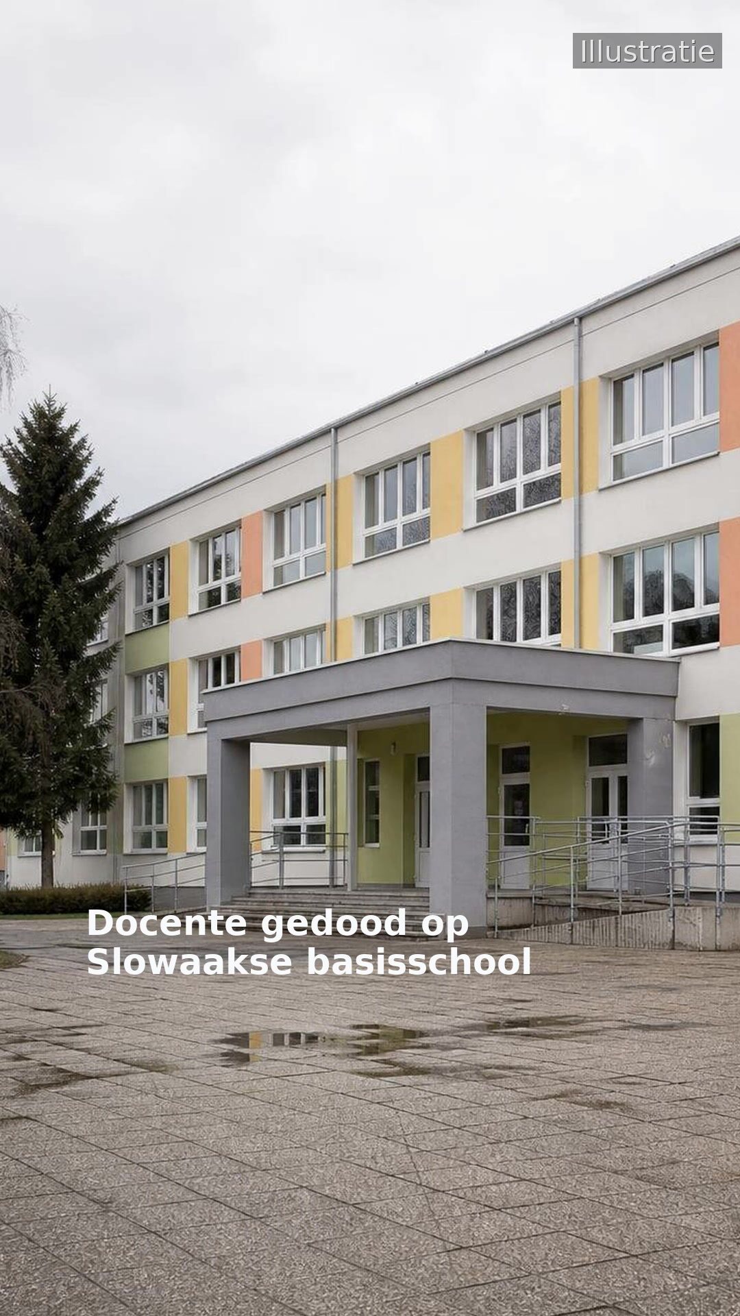 Docente gedood op Slowaakse basisschool