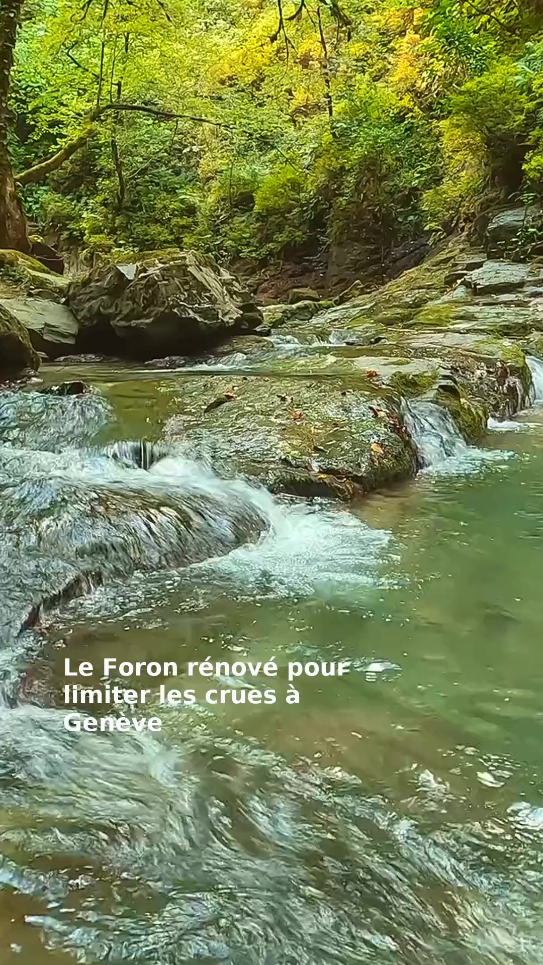 Le Foron rénové pour limiter les crues à Genève