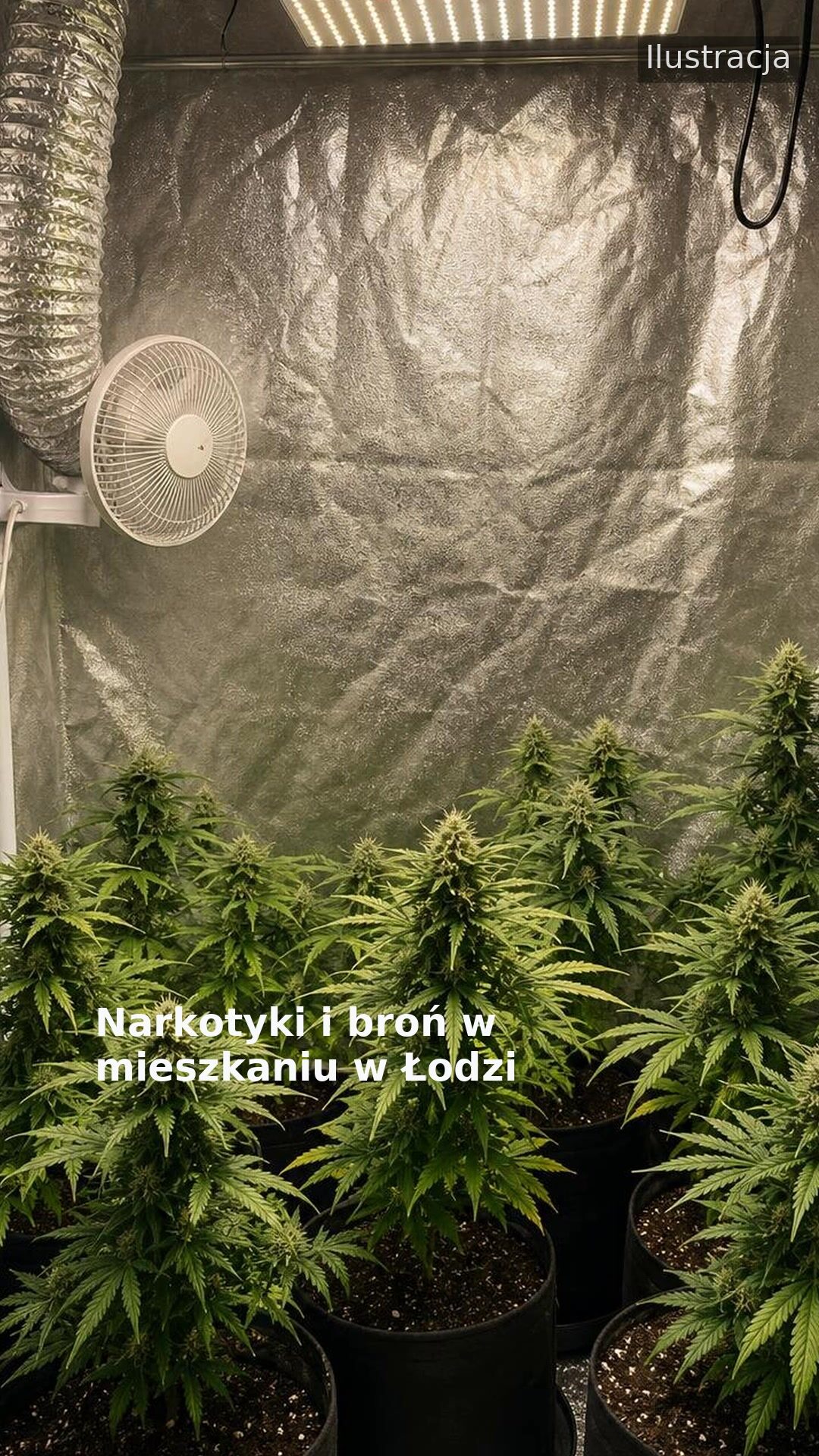 Narkotyki i broń w mieszkaniu w Łodzi