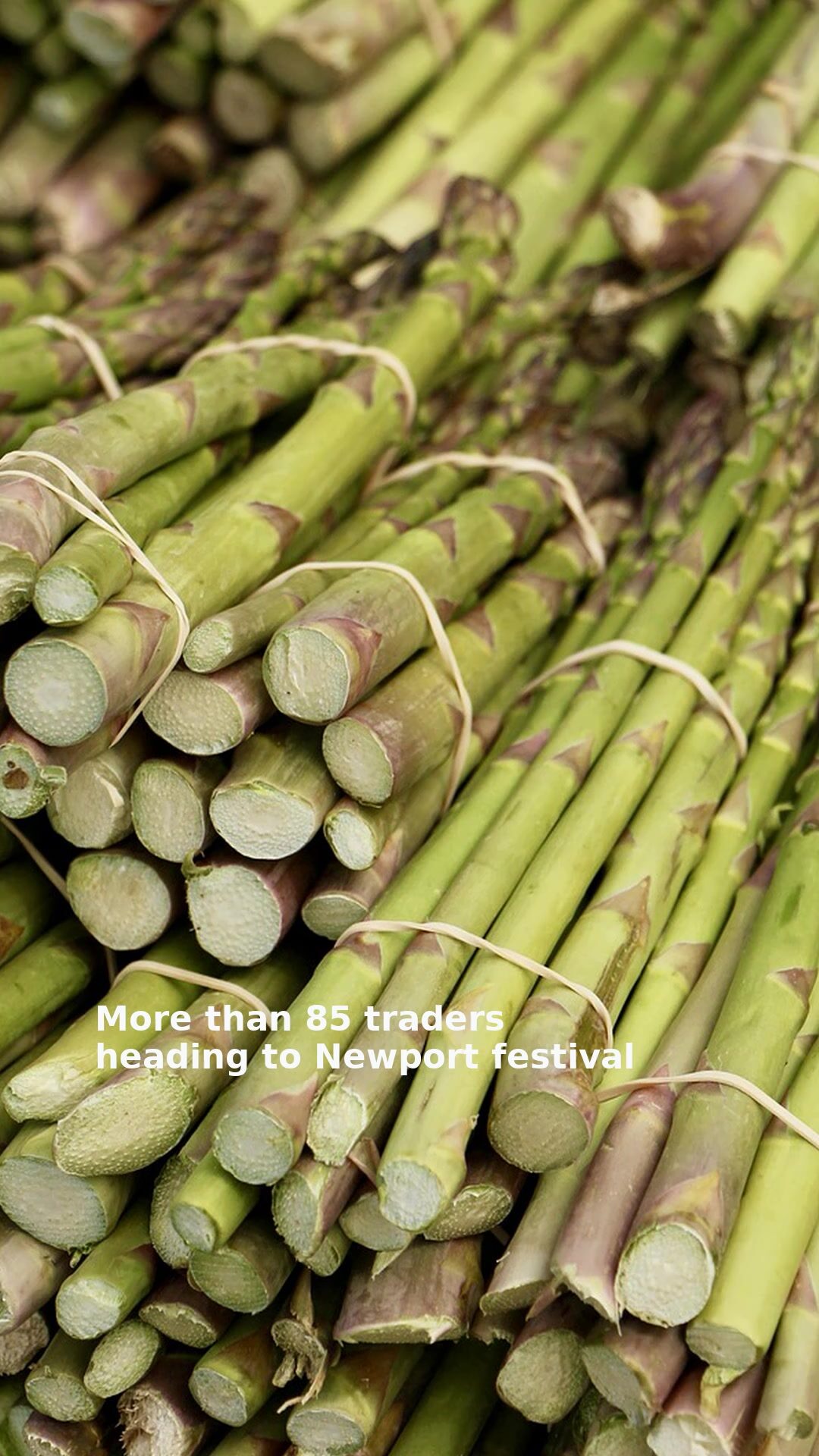 More than 85 traders heading to Newport festival