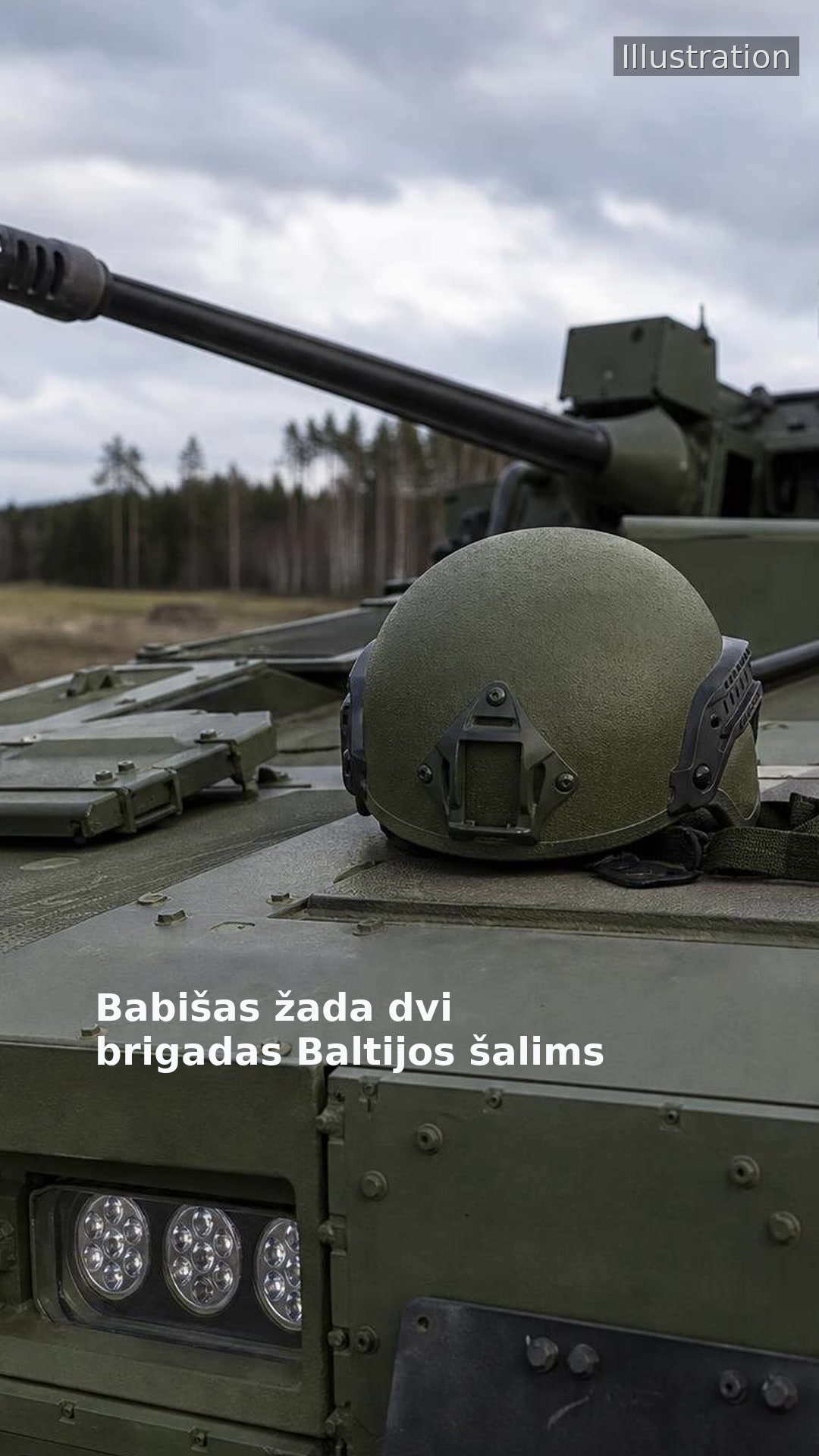 Babišas žada dvi brigadas Baltijos šalims