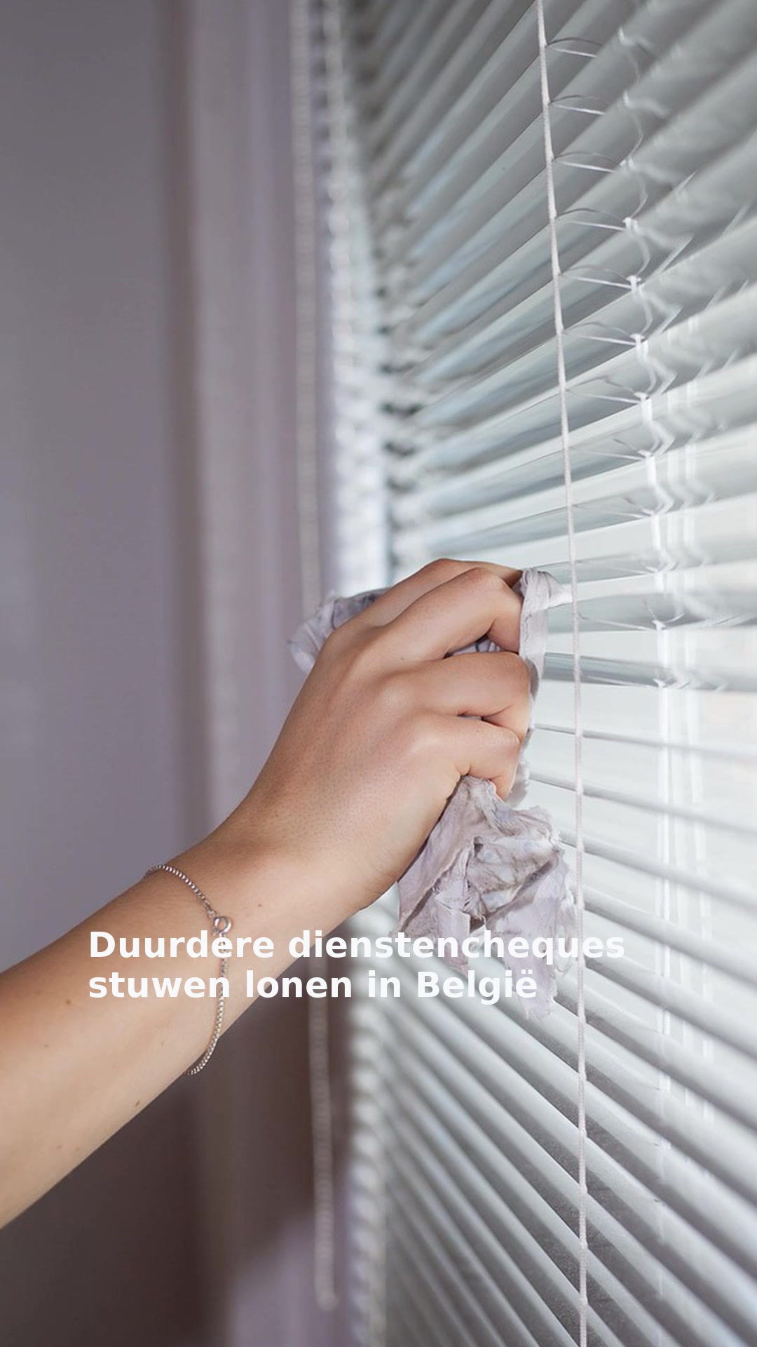 Duurdere dienstencheques stuwen lonen in België