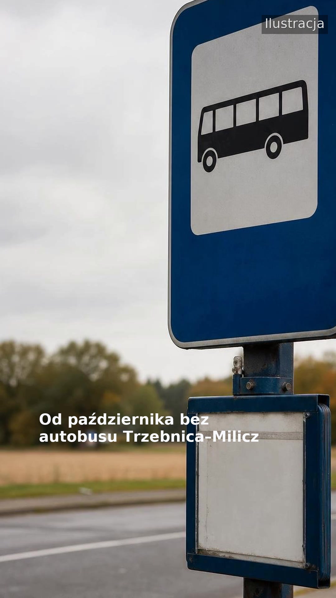 Od października bez autobusu Trzebnica–Milicz