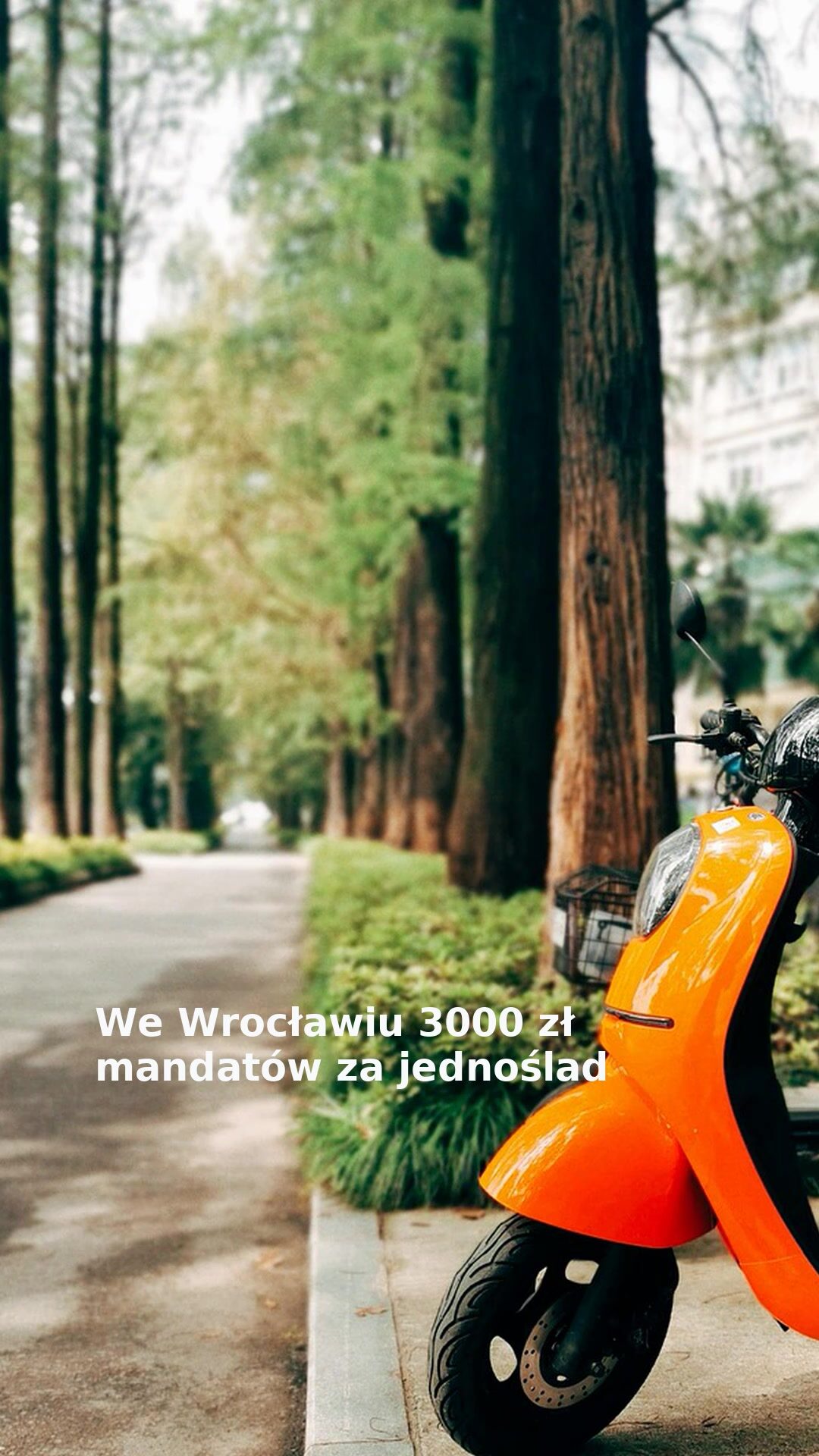 We Wrocławiu 3000 zł mandatów za jednoślad