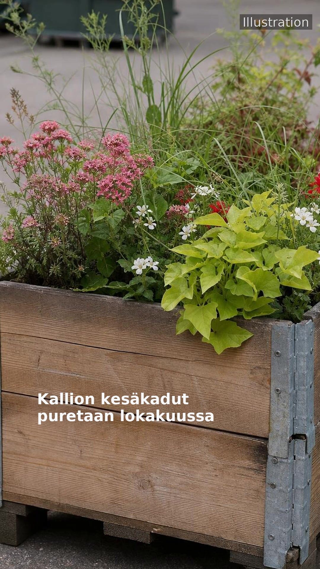 Kallion kesäkadut puretaan lokakuussa