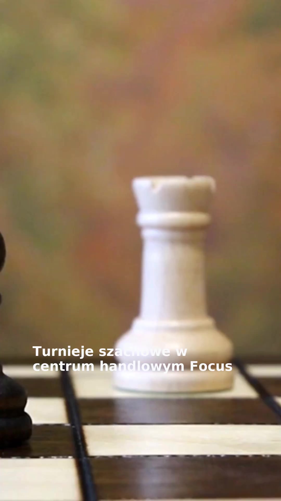Turnieje szachowe w centrum handlowym Focus