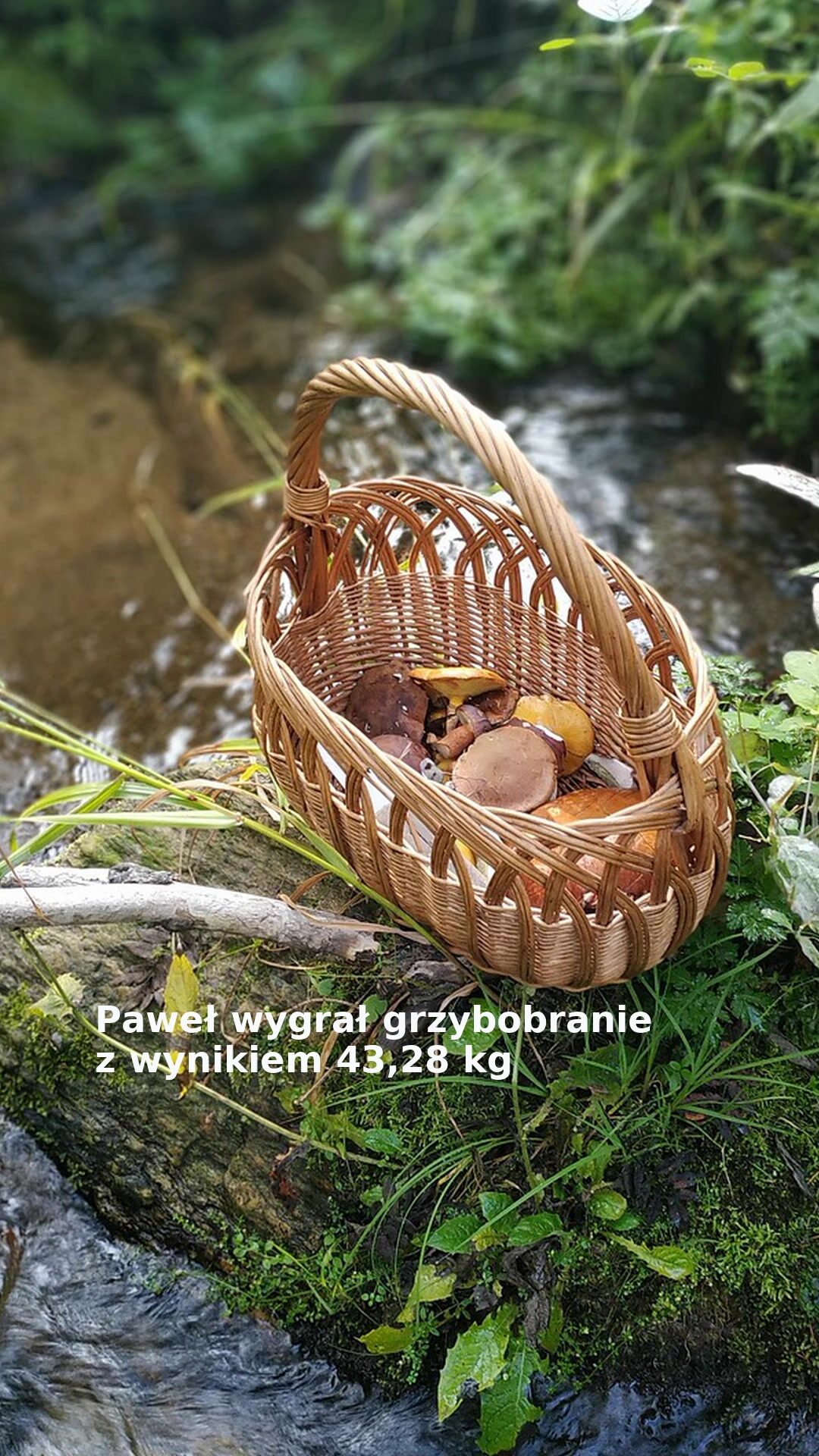 Paweł wygrał grzybobranie z wynikiem 43,28 kg