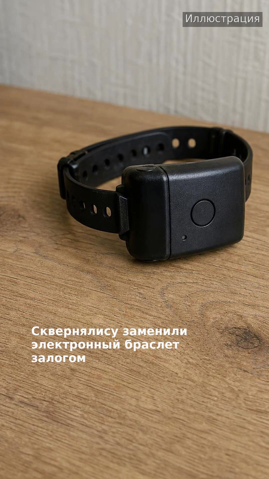 Сквернялису заменили электронный браслет залогом