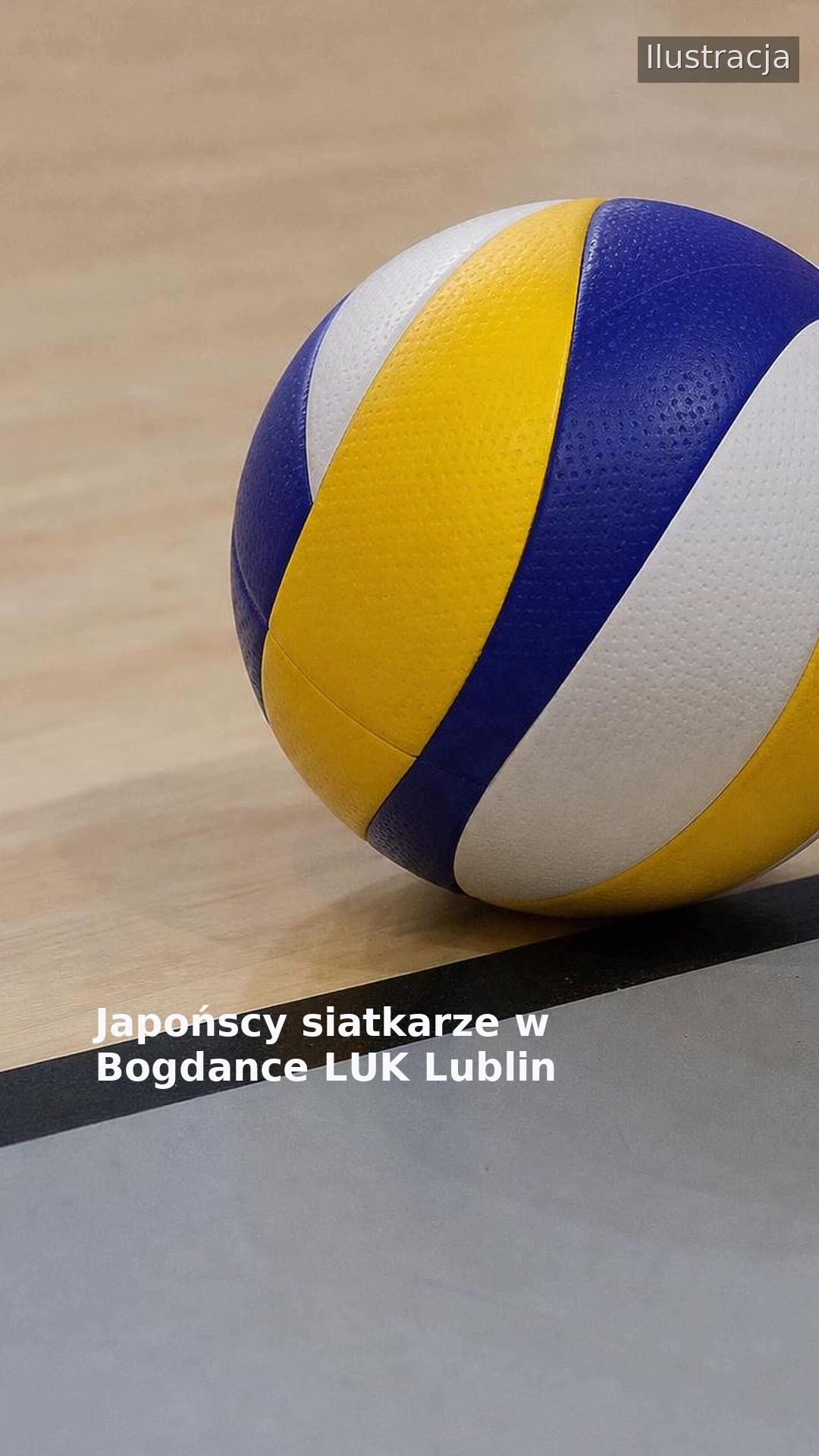 Japońscy siatkarze w Bogdance LUK Lublin