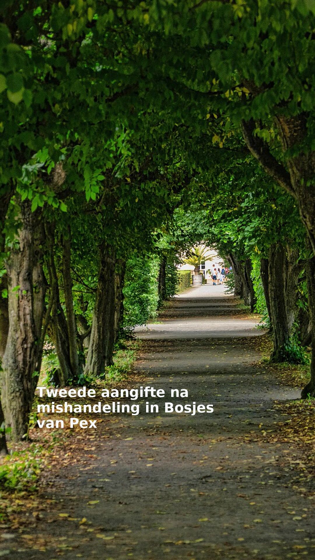 Tweede aangifte na mishandeling in Bosjes van Pex