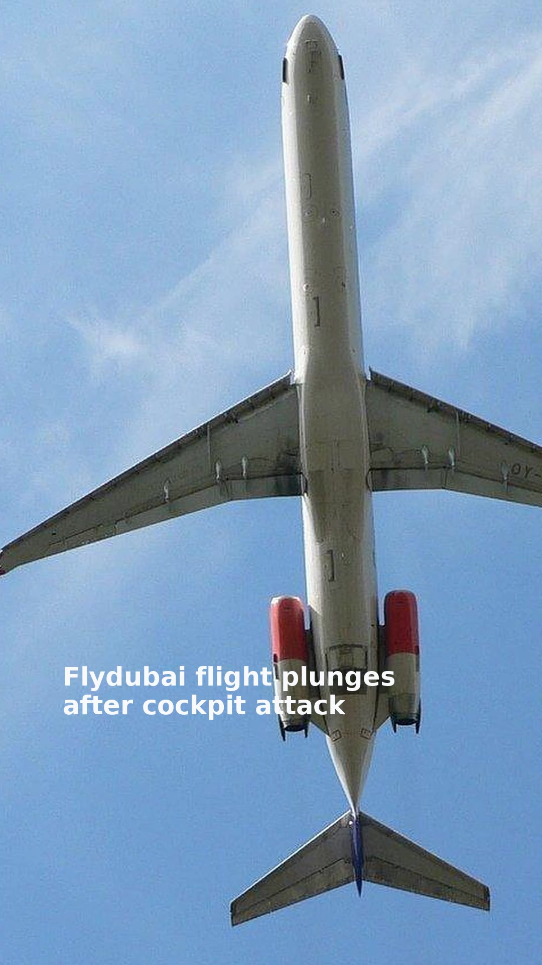 Flydubai flight plunges after cockpit attack