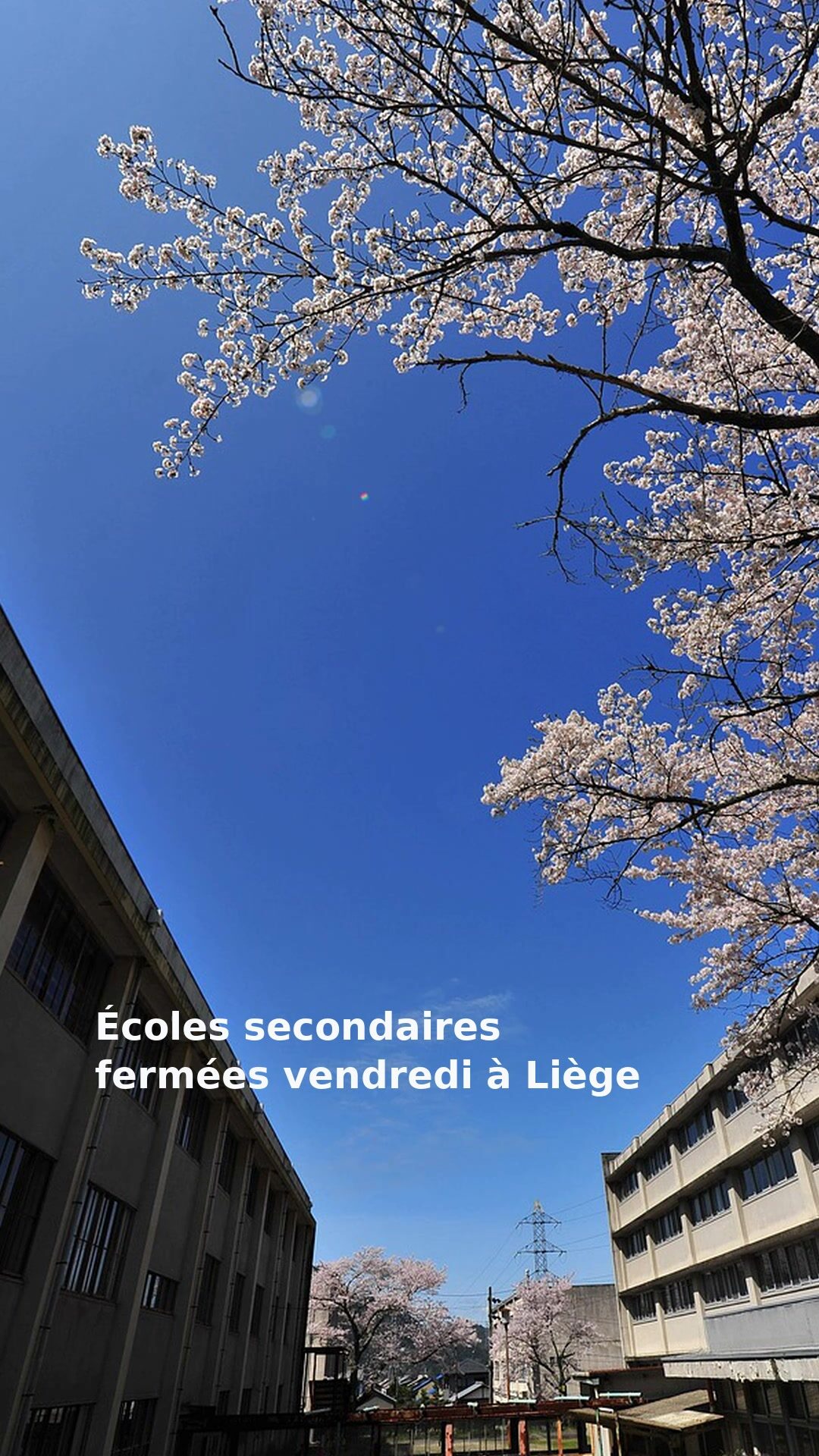 Écoles secondaires fermées vendredi à Liège