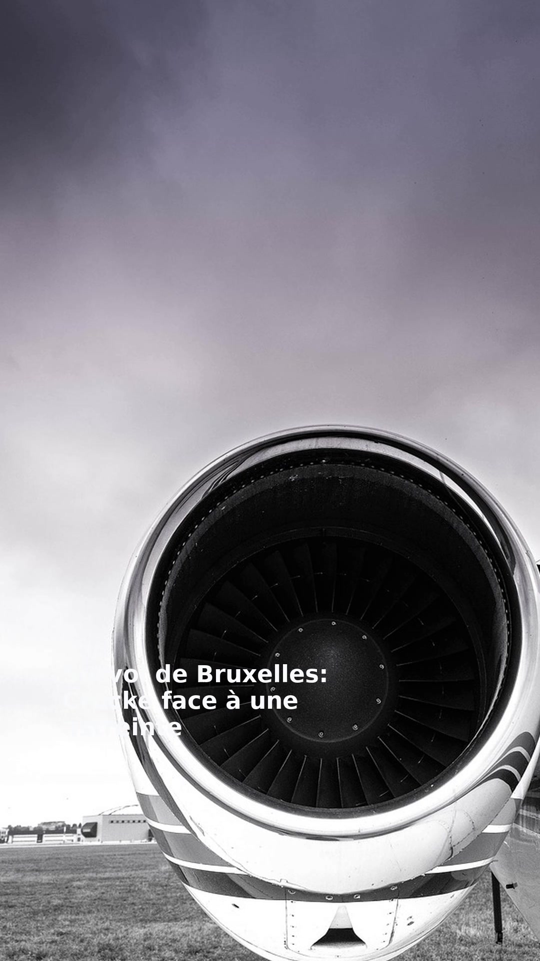Survol de Bruxelles: Crucke face à une astreinte
