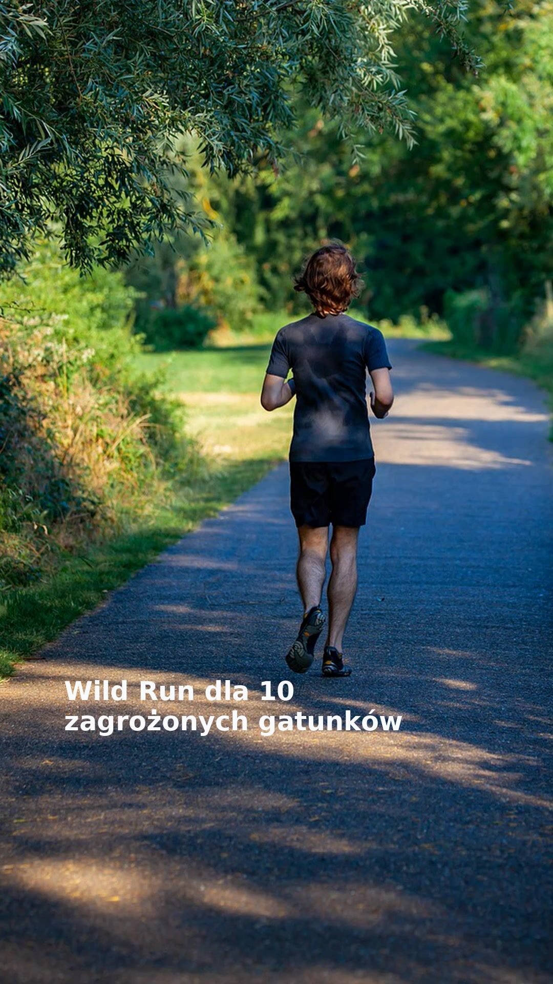 Wild Run dla 10 zagrożonych gatunków