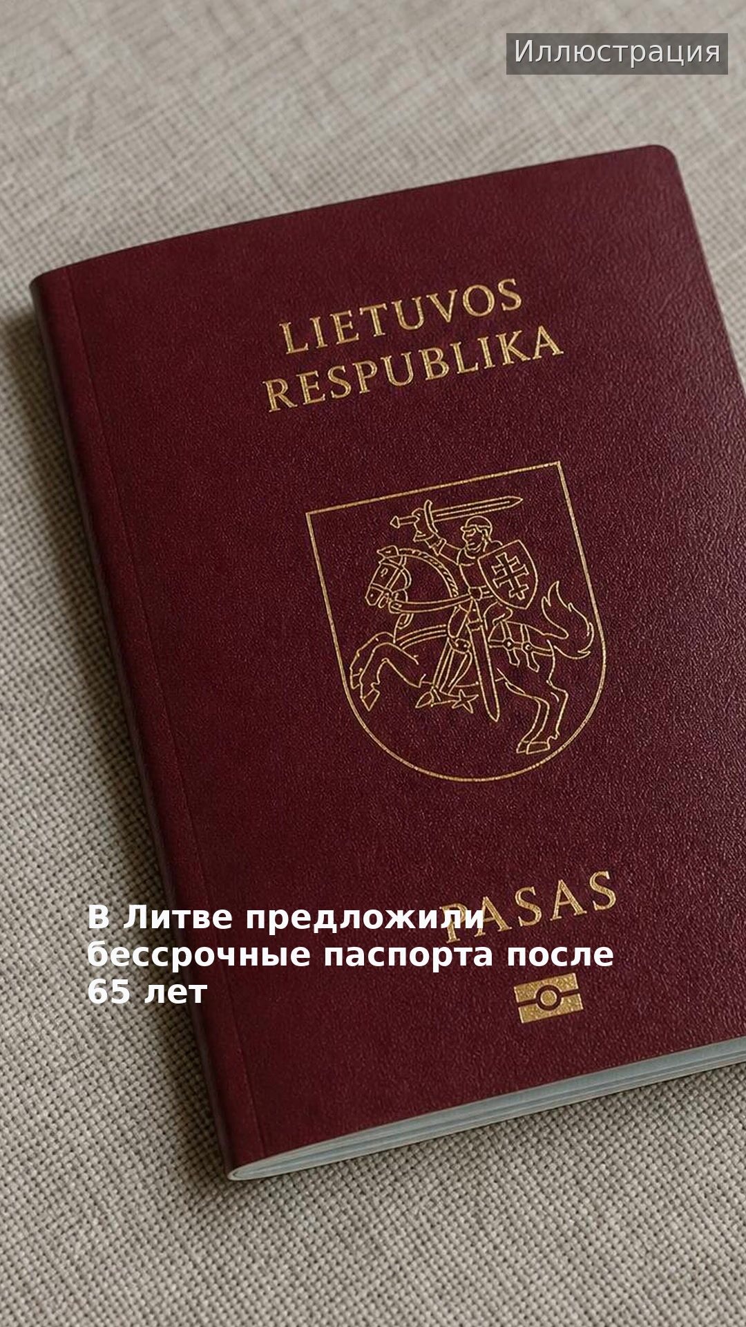 В Литве предложили бессрочные паспорта после 65 лет