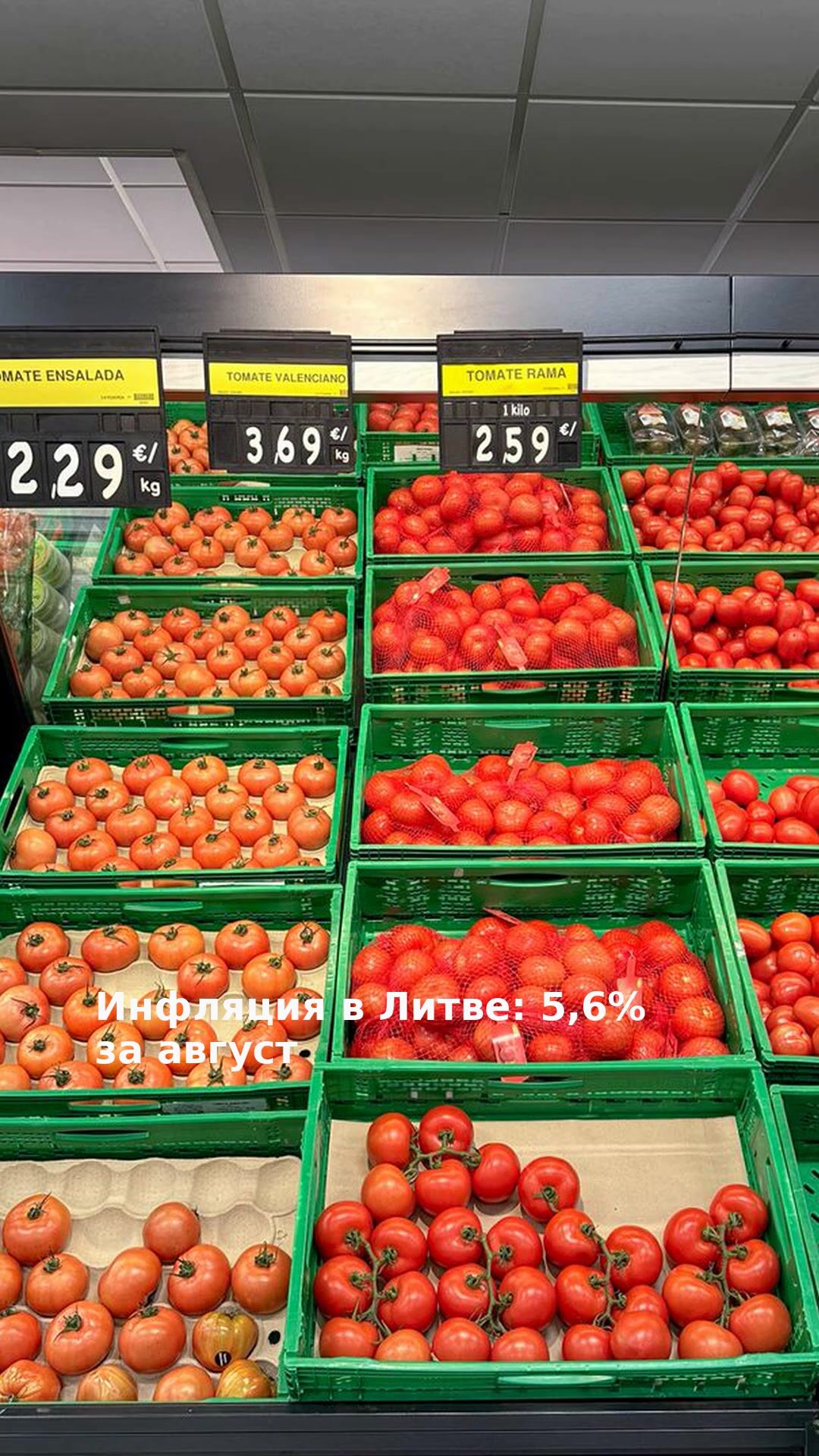 Инфляция в Литве: 5,6% за август