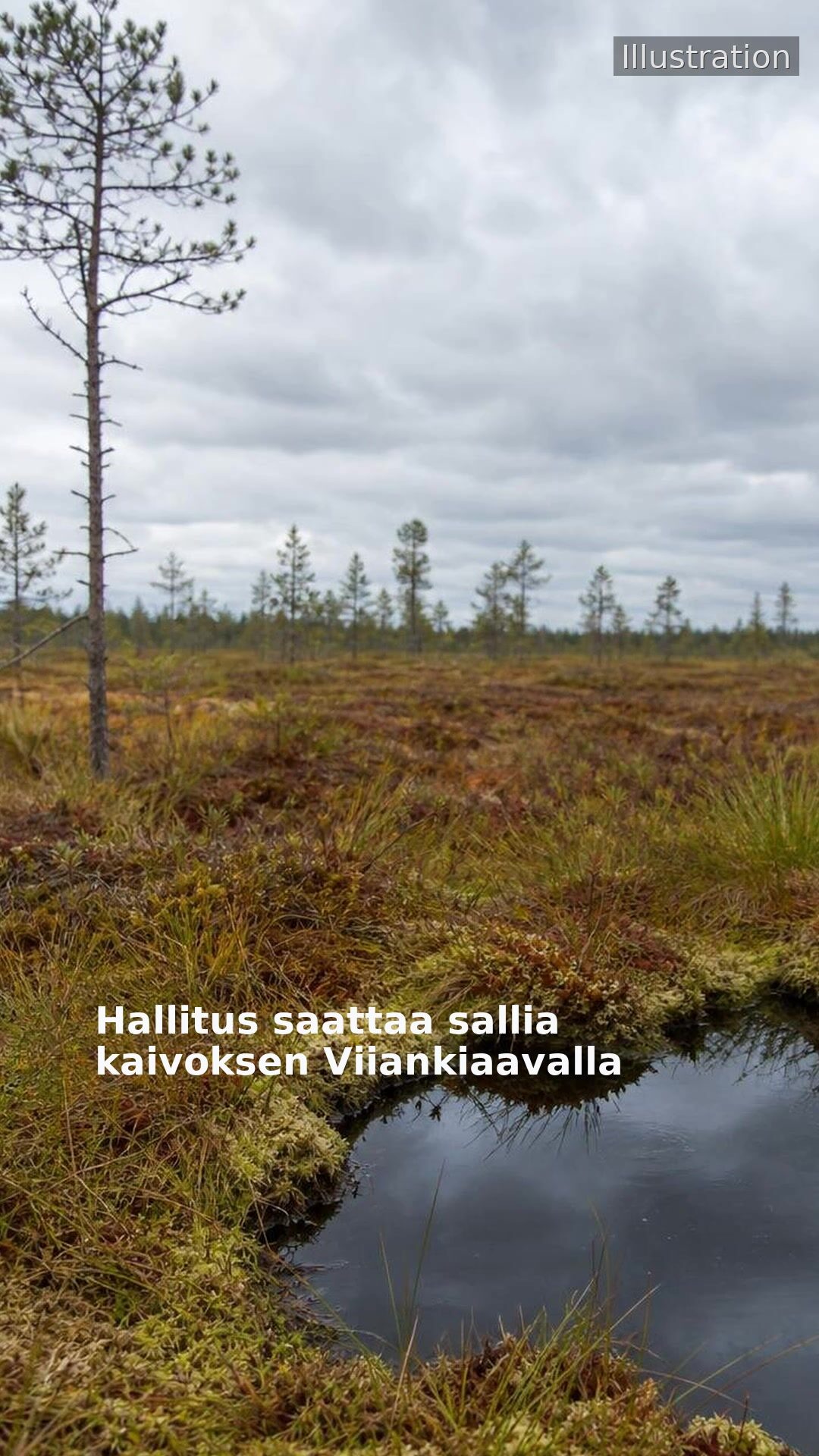 Hallitus saattaa sallia kaivoksen Viiankiaavalla