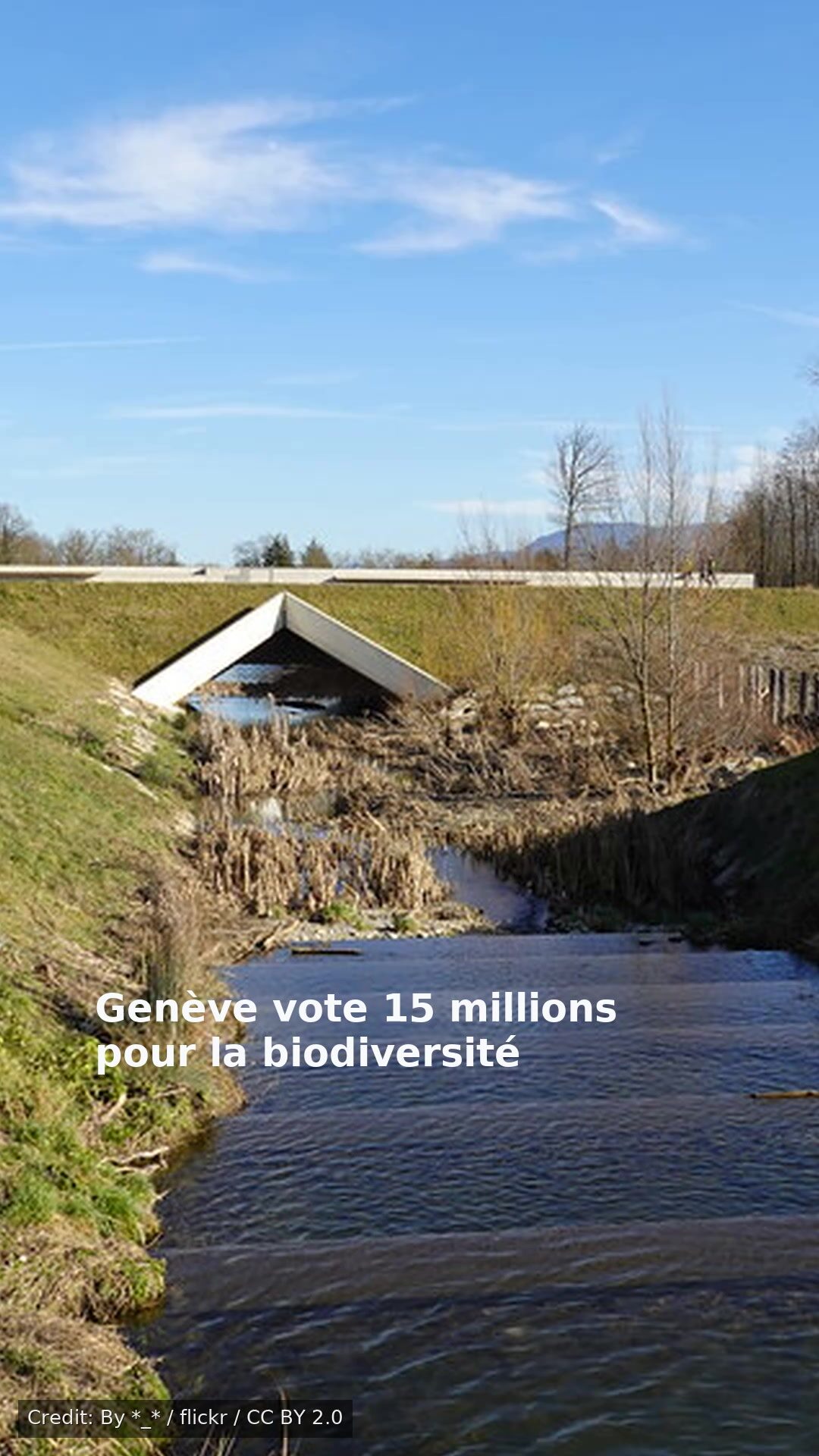 Genève vote 15 millions pour la biodiversité