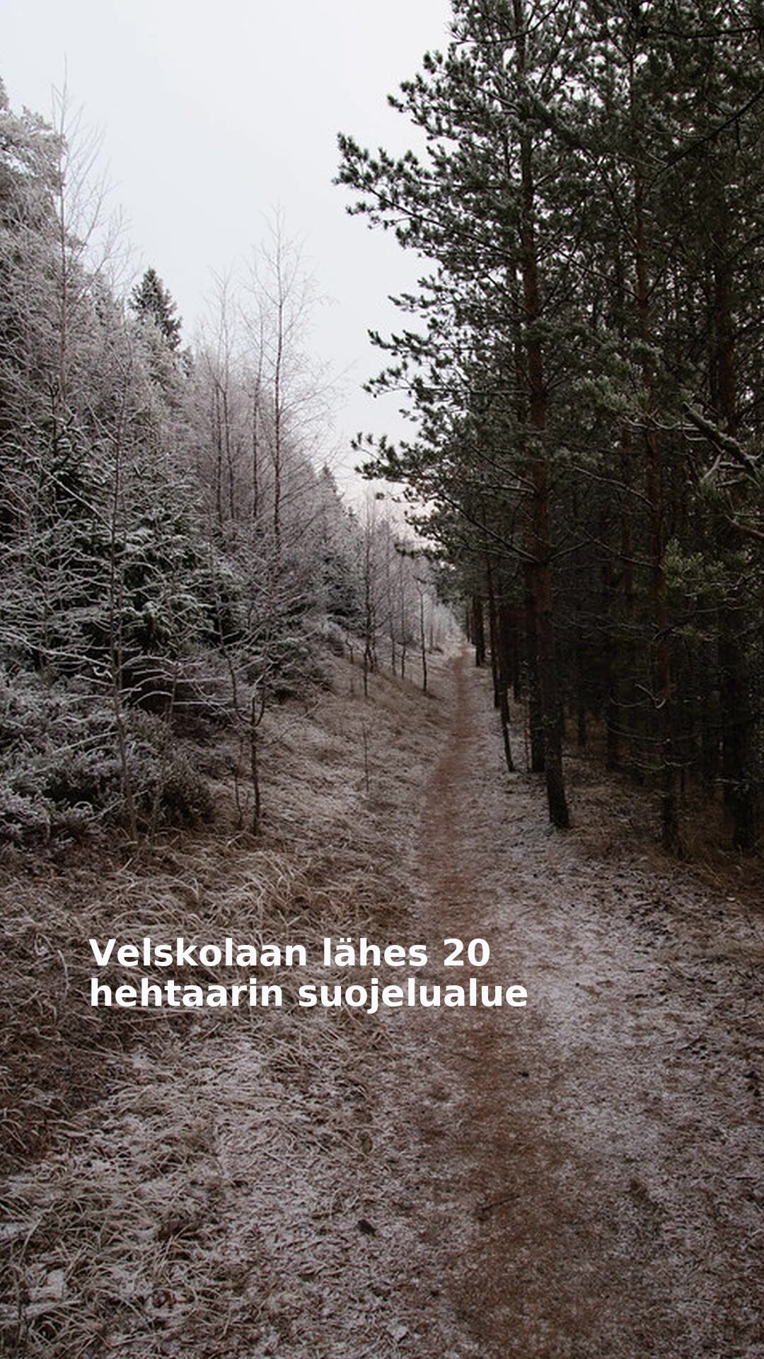 Velskolaan lähes 20 hehtaarin suojelualue