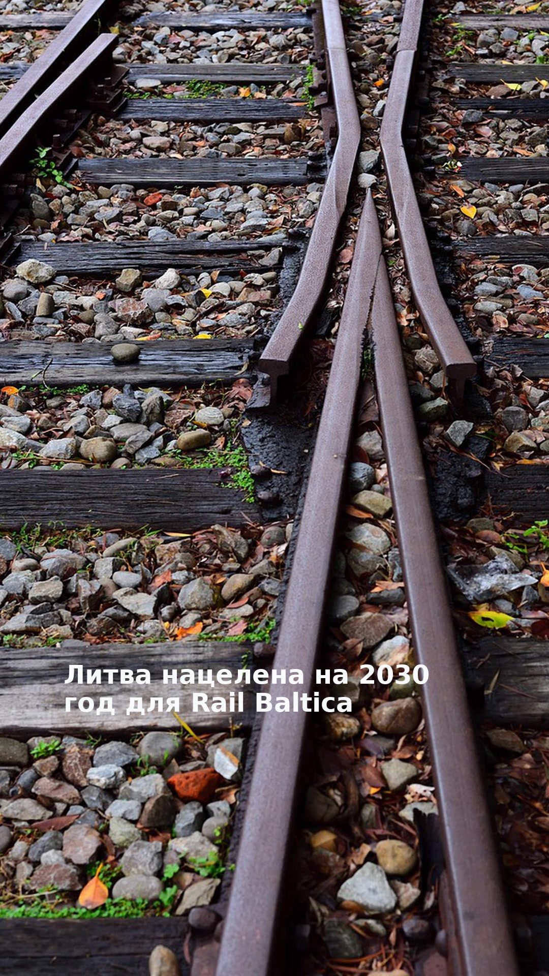 Литва нацелена на 2030 год для Rail Baltica
