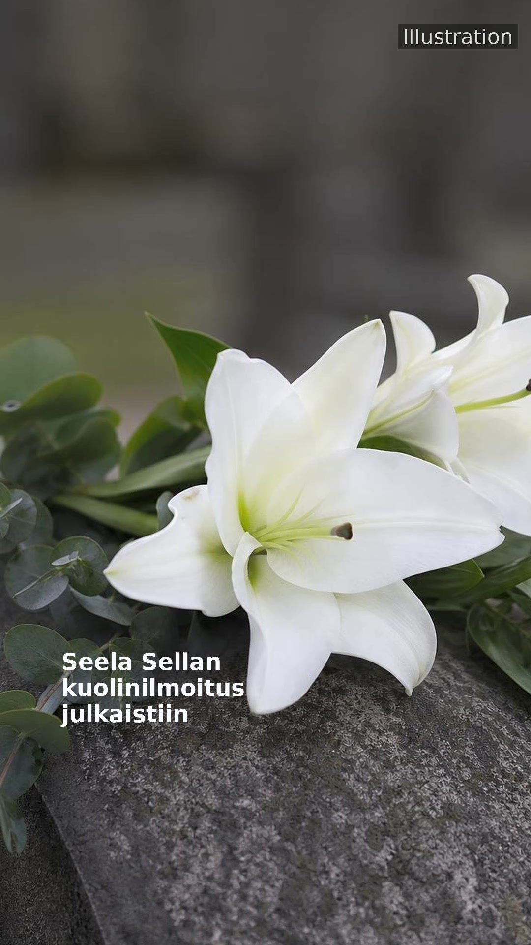 Seela Sellan kuolinilmoitus julkaistiin
