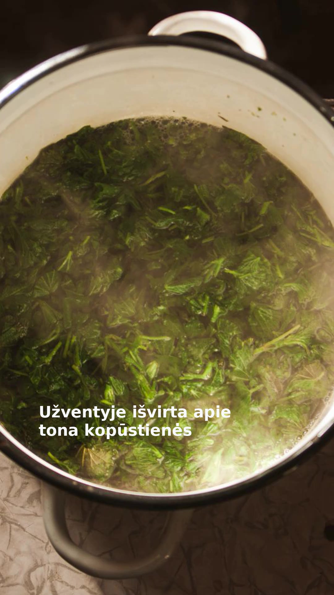 Užventyje išvirta apie tona kopūstienės