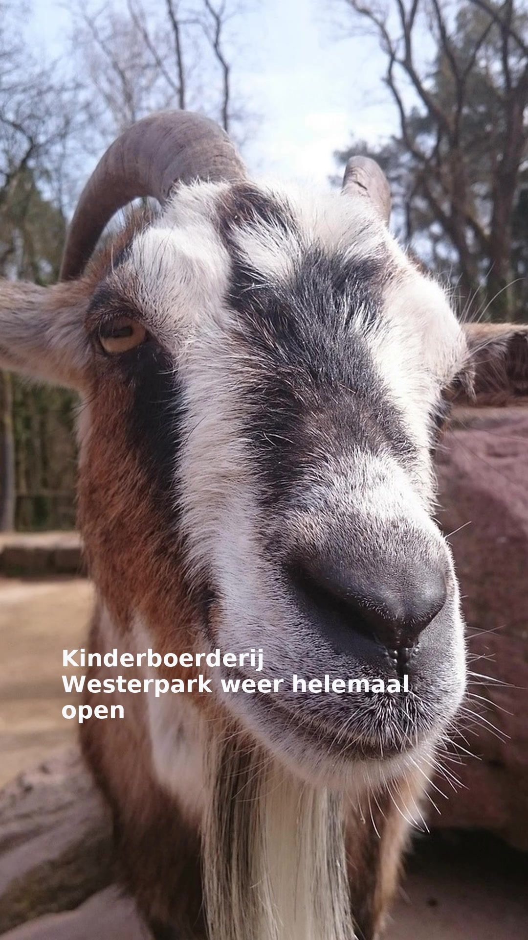 Kinderboerderij Westerpark weer helemaal open