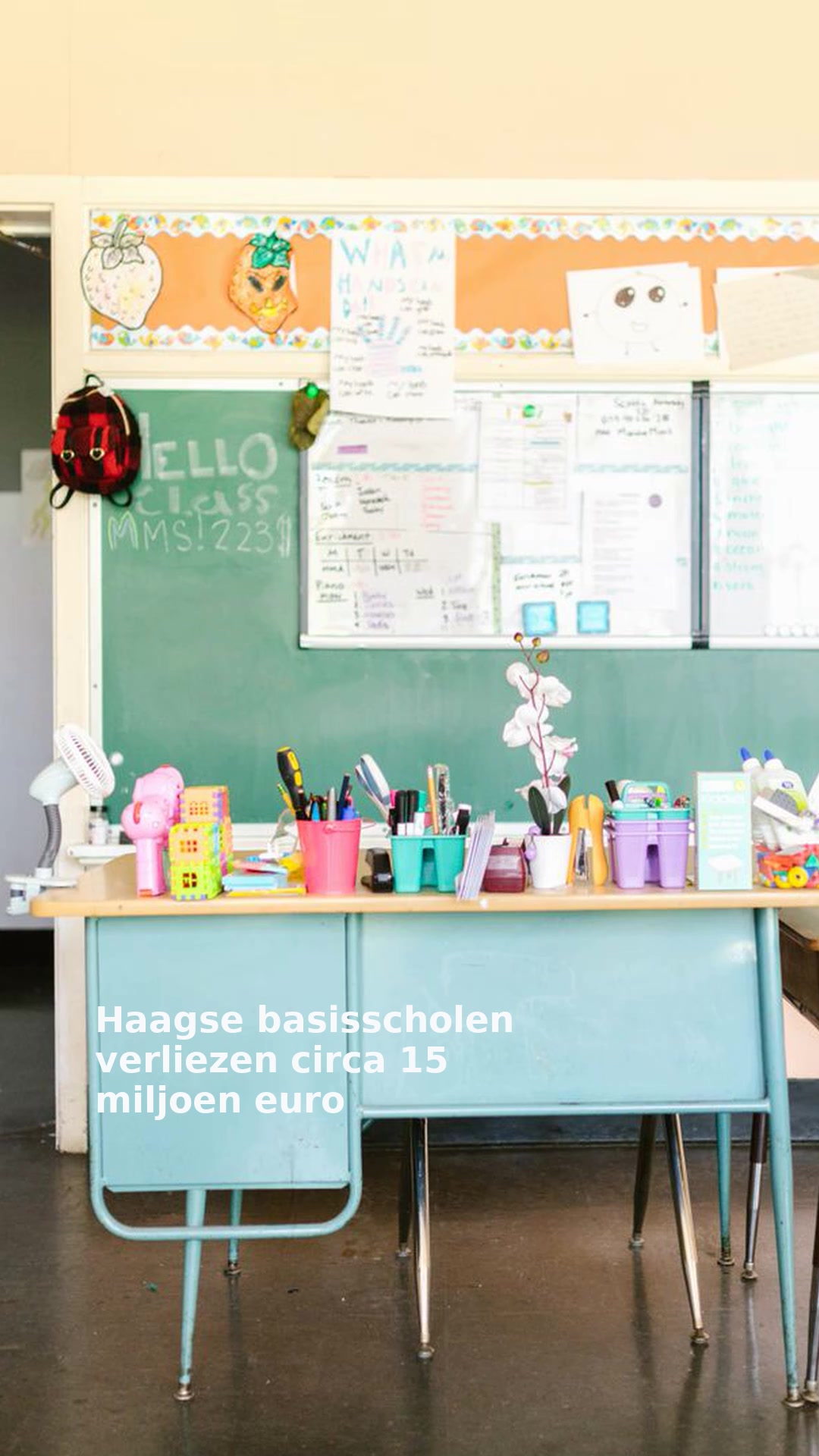 Haagse basisscholen verliezen circa 15 miljoen euro