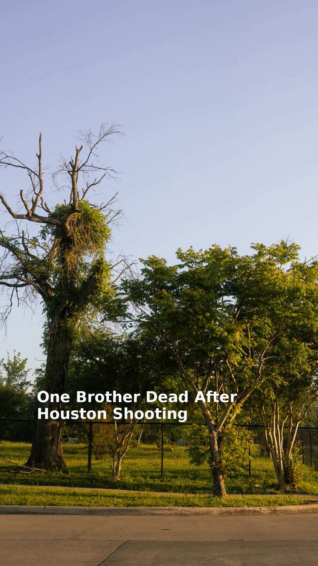 One Brother Dead After Houston Shooting