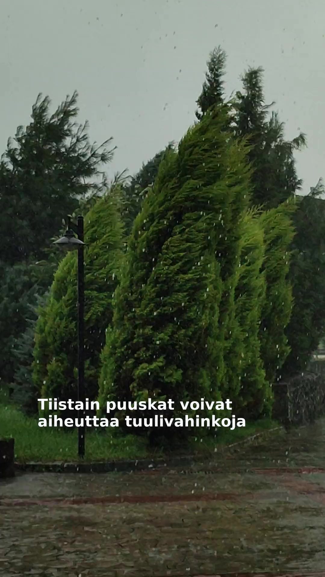 Tiistain puuskat voivat aiheuttaa tuulivahinkoja