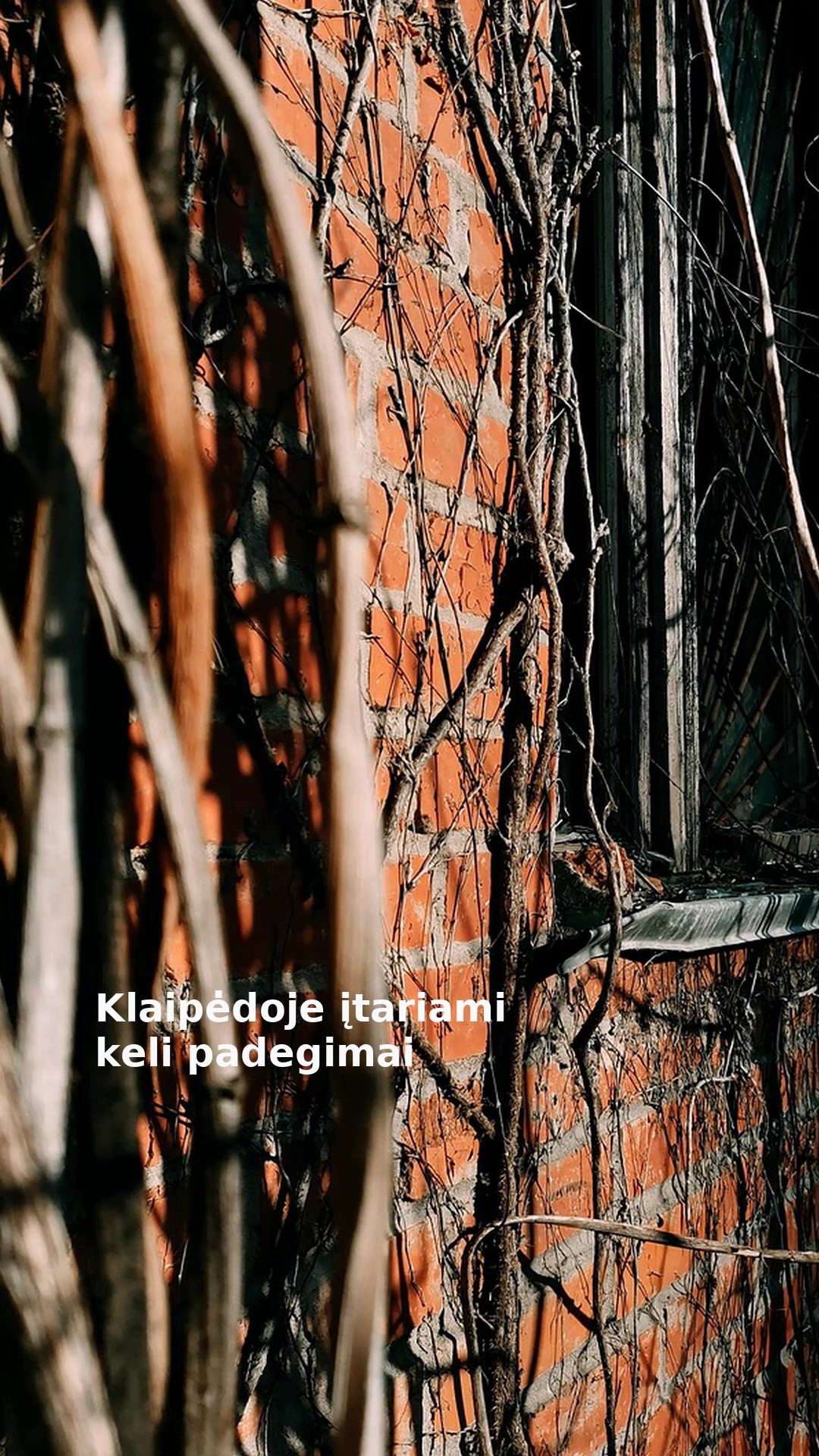 Klaipėdoje įtariami keli padegimai