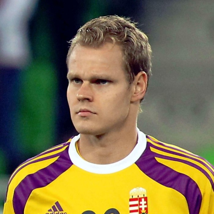 Dénes Dibusz